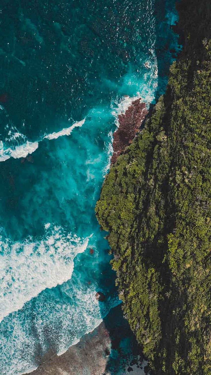 Coastal Serenity Summer, turquoise ocean, lush green forested cliffside, HD Phone Wallpaper