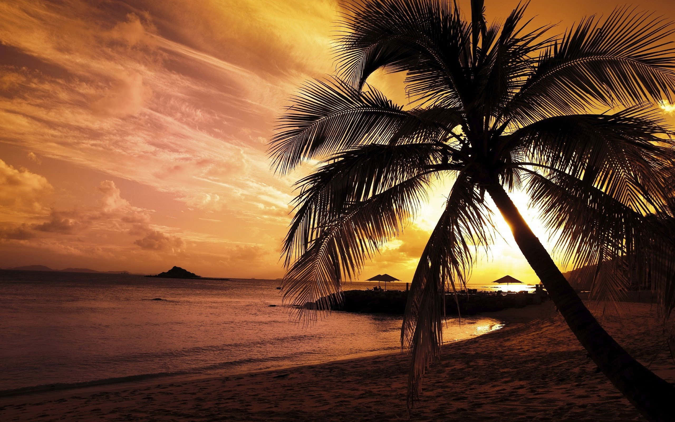 Seashore, 2560 x 1600, sunset, 2K Desktop Wallpaper