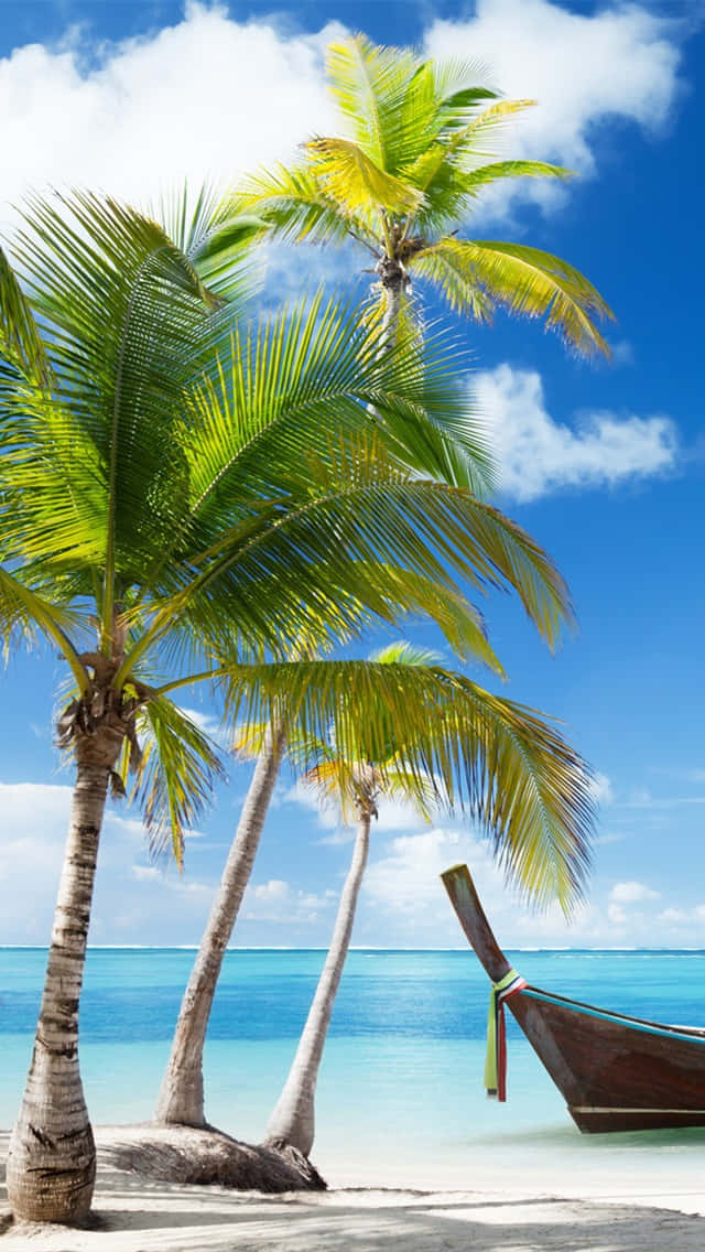 palm tree, boat, white sand, SD Phone Wallpaper