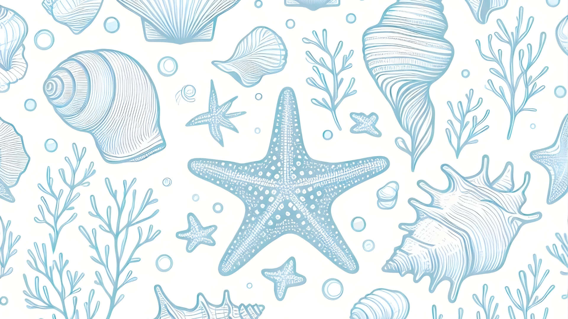 coastal seashell and starfish pattern, blue line drawing, seashells, Full HD Desktop Wallpaper
