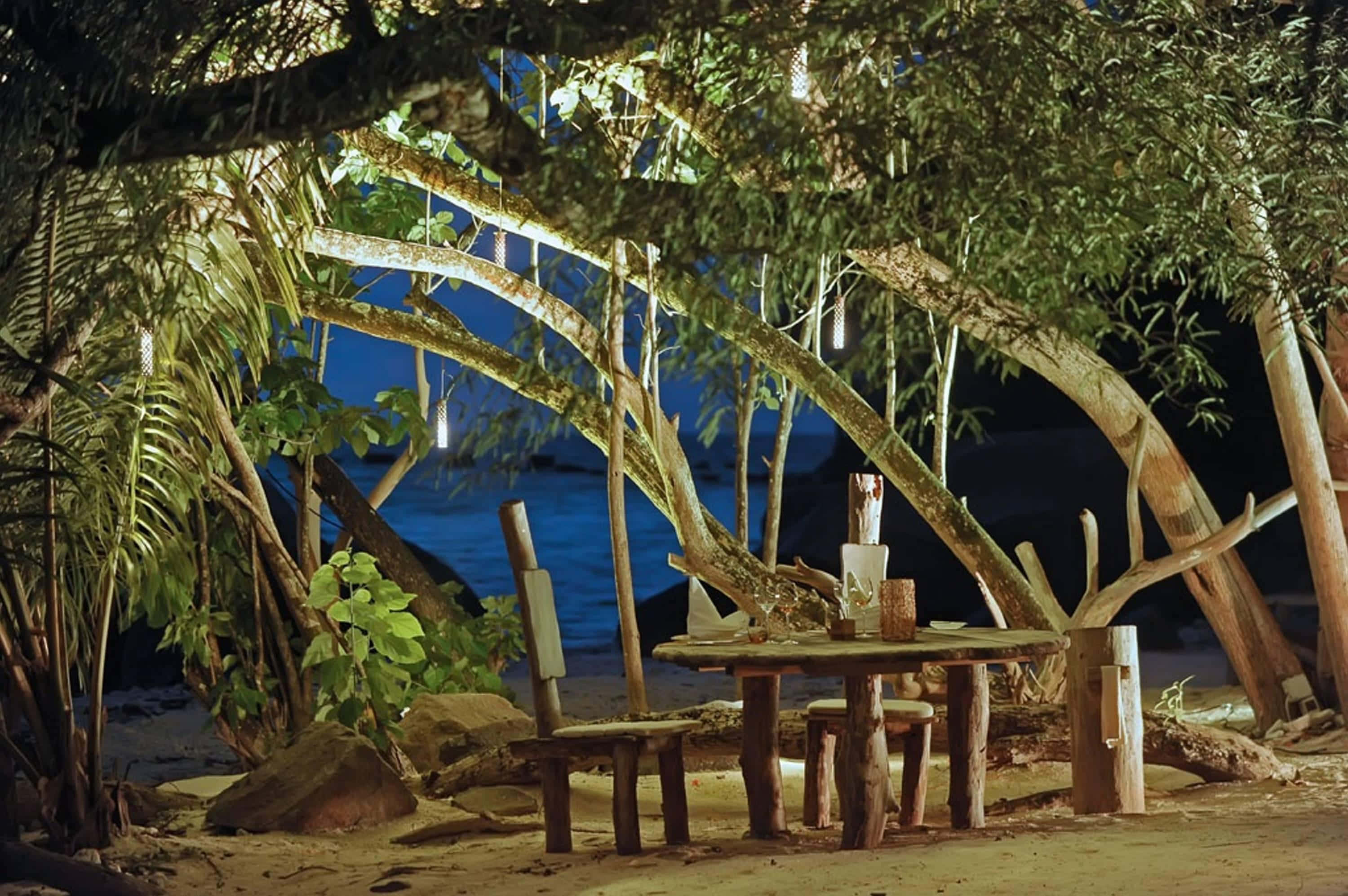 Seaside, rustic wooden table, glowing tree branches, 2K Desktop Wallpaper