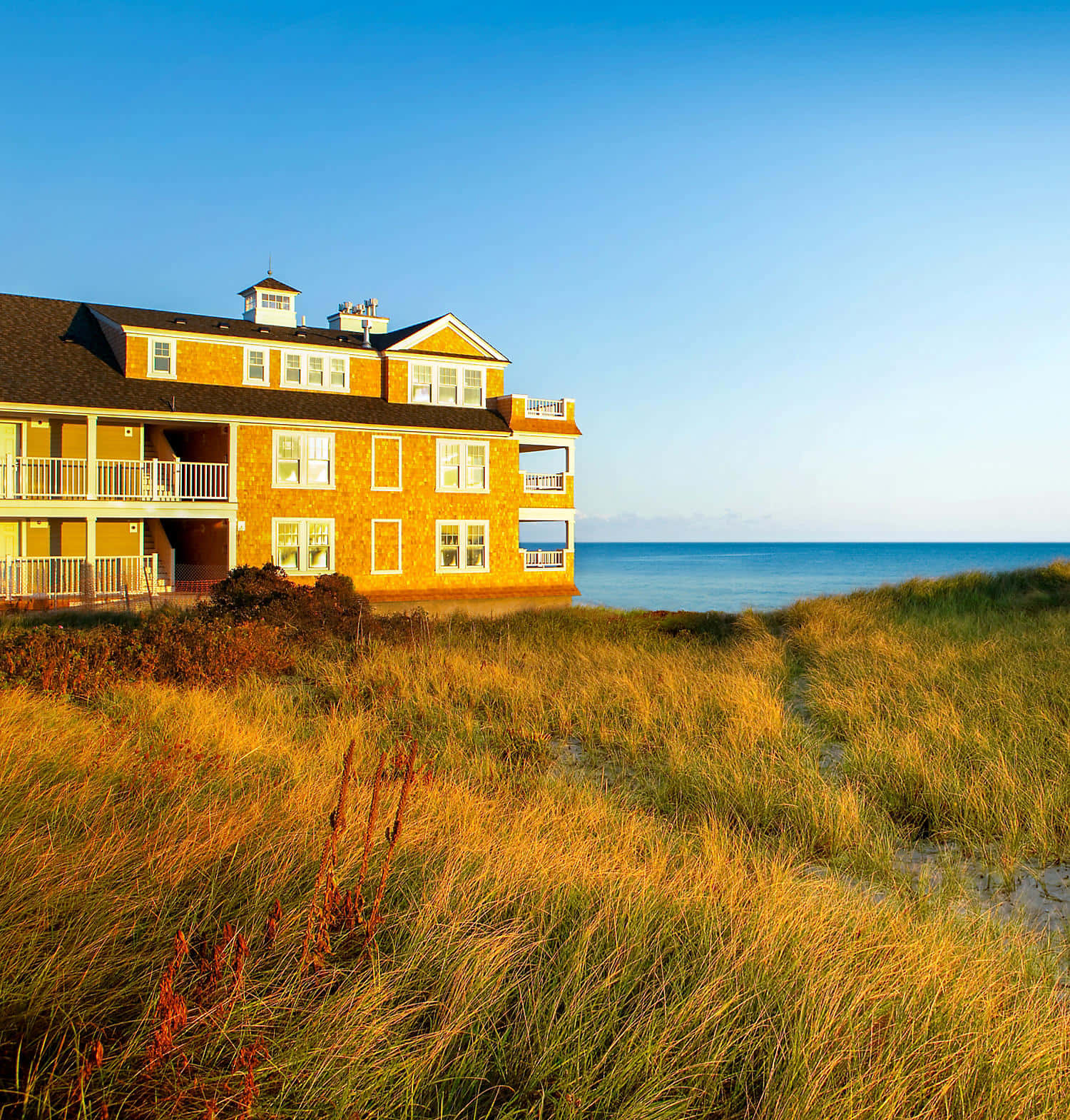 seaside, golden grass, white railings, HD Phone Wallpaper