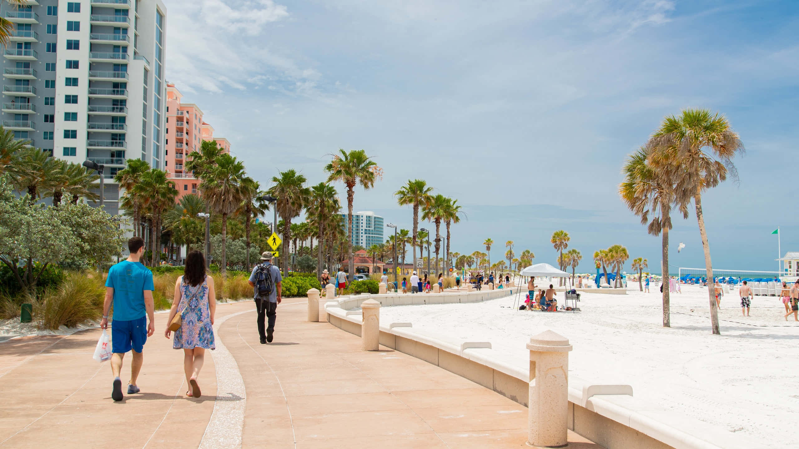 Seaside, sunny seaside boardwalk, palm trees, 2K Desktop Wallpaper