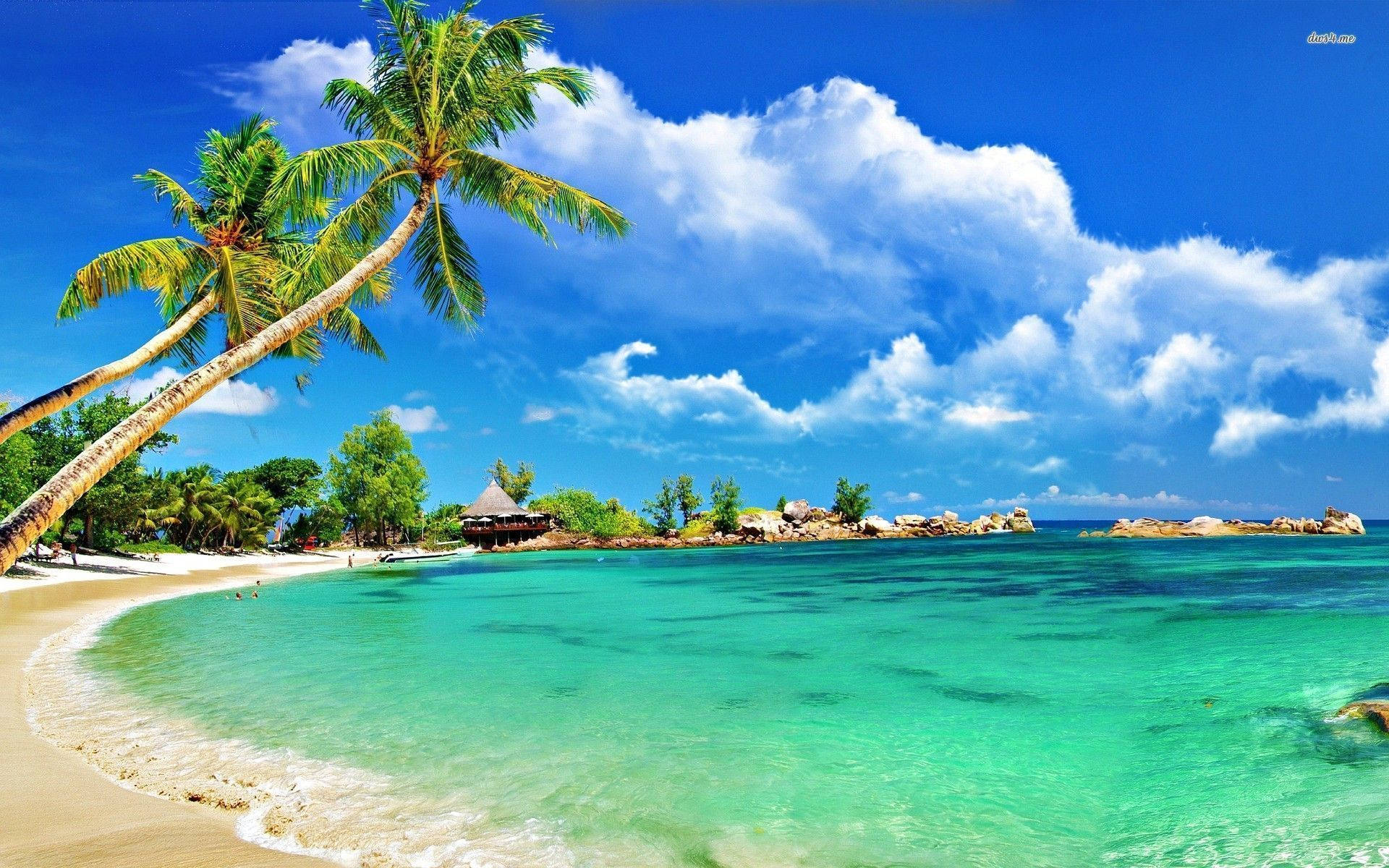 tropical Montego Bay, turquoise waters, leaning palm trees, Full HD Desktop Wallpaper