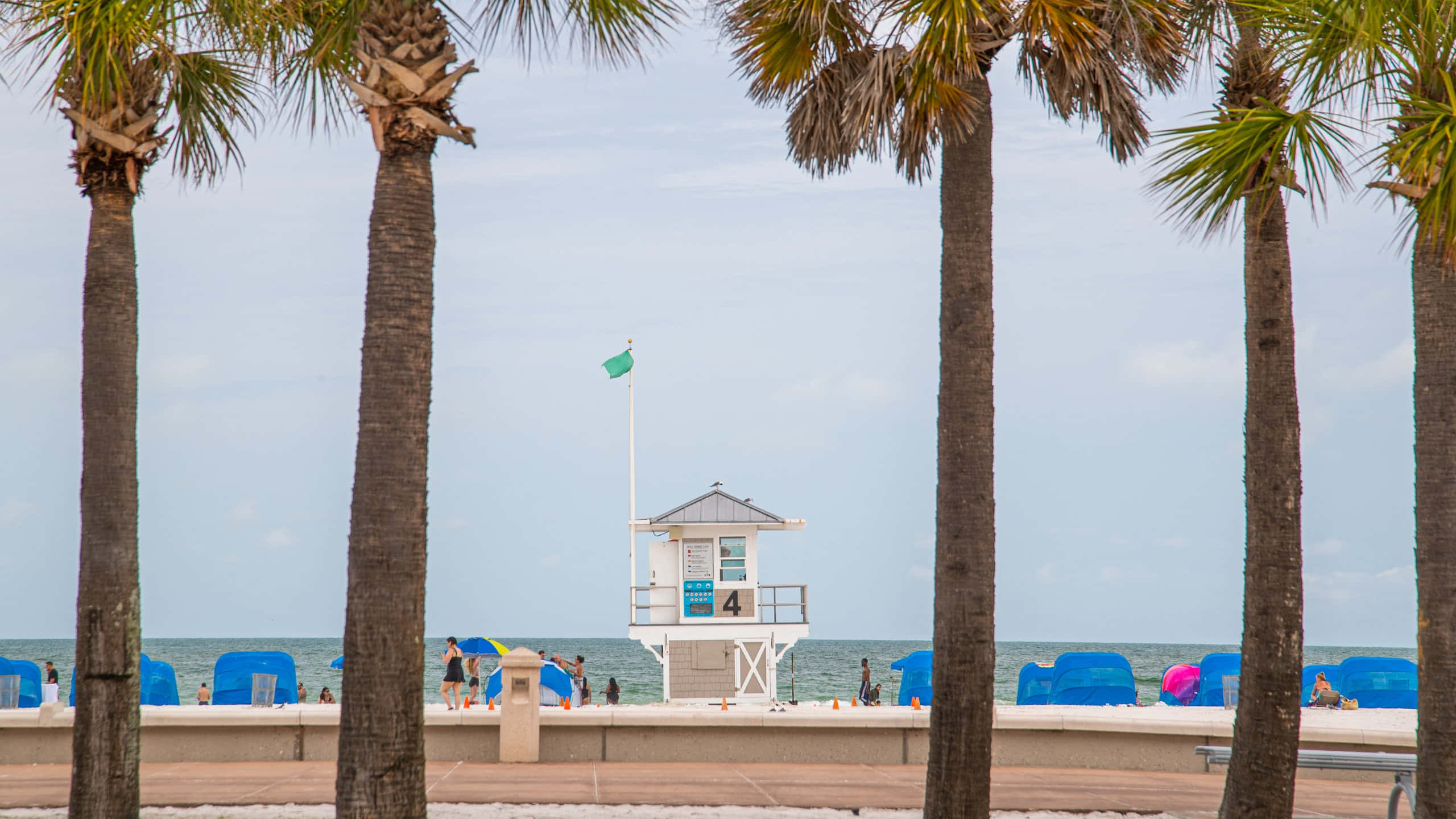 Serene Seaside Sunrise, palm trees, white lifeguard tower, 2K Desktop Wallpaper