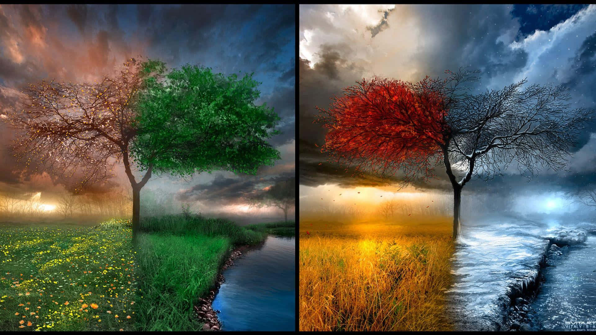 Four Season Nature Scenery Comparison, green foliage, red autumn leaves, Full HD Desktop Wallpaper