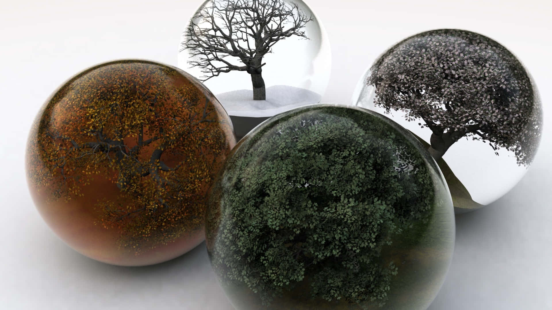 Four Seasons Trees, glass balls, tree representing different seasons, Full HD Desktop Wallpaper