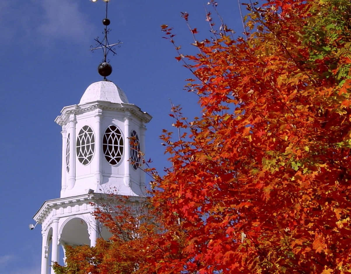Seasonal Church Tree, autumn, white clock tower, SD Desktop Wallpaper