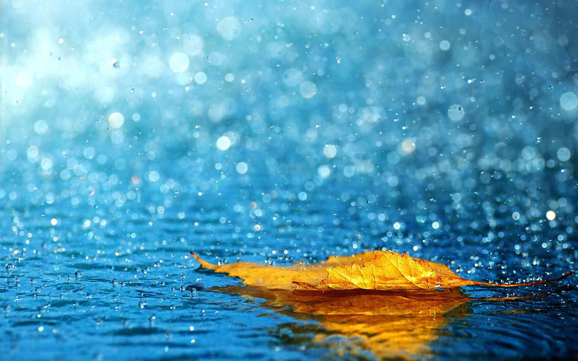 golden autumn leaf, vibrant blue water, sparkling droplets, Full HD Desktop Wallpaper