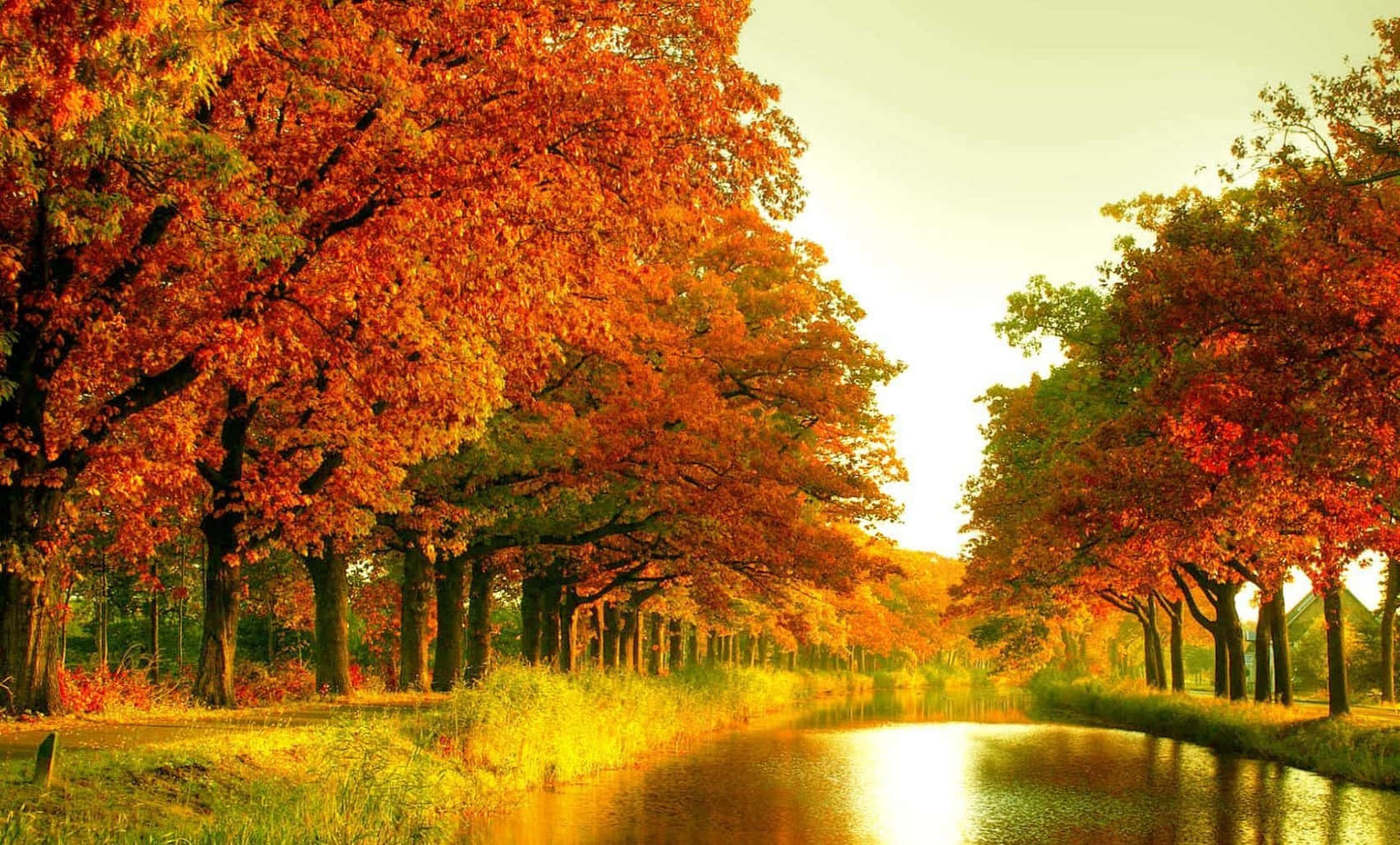autumn, canal, vibrant orange trees, HD Desktop Wallpaper