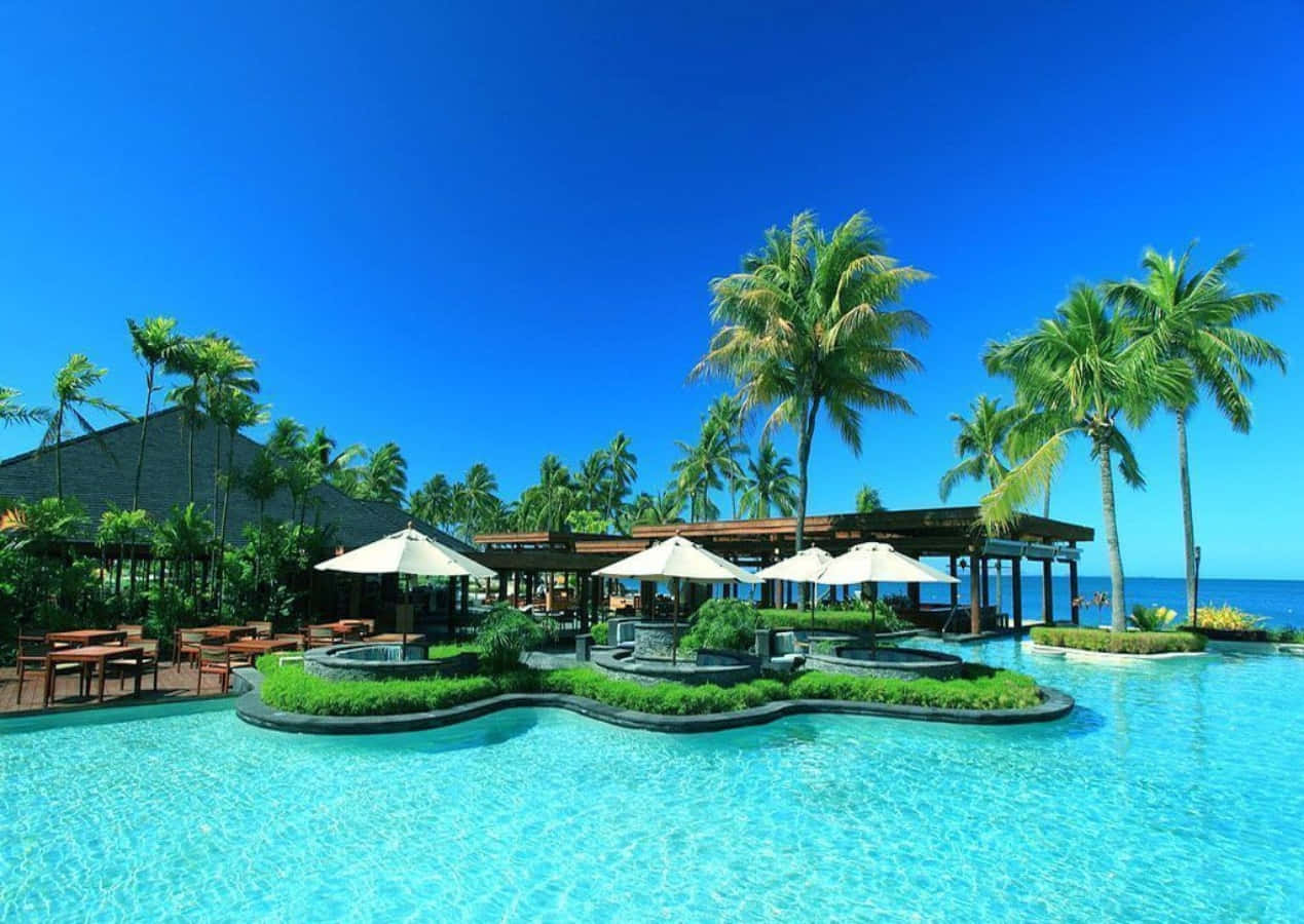 turquoise infinity pool, tropical resort, palm trees, SD Desktop Wallpaper