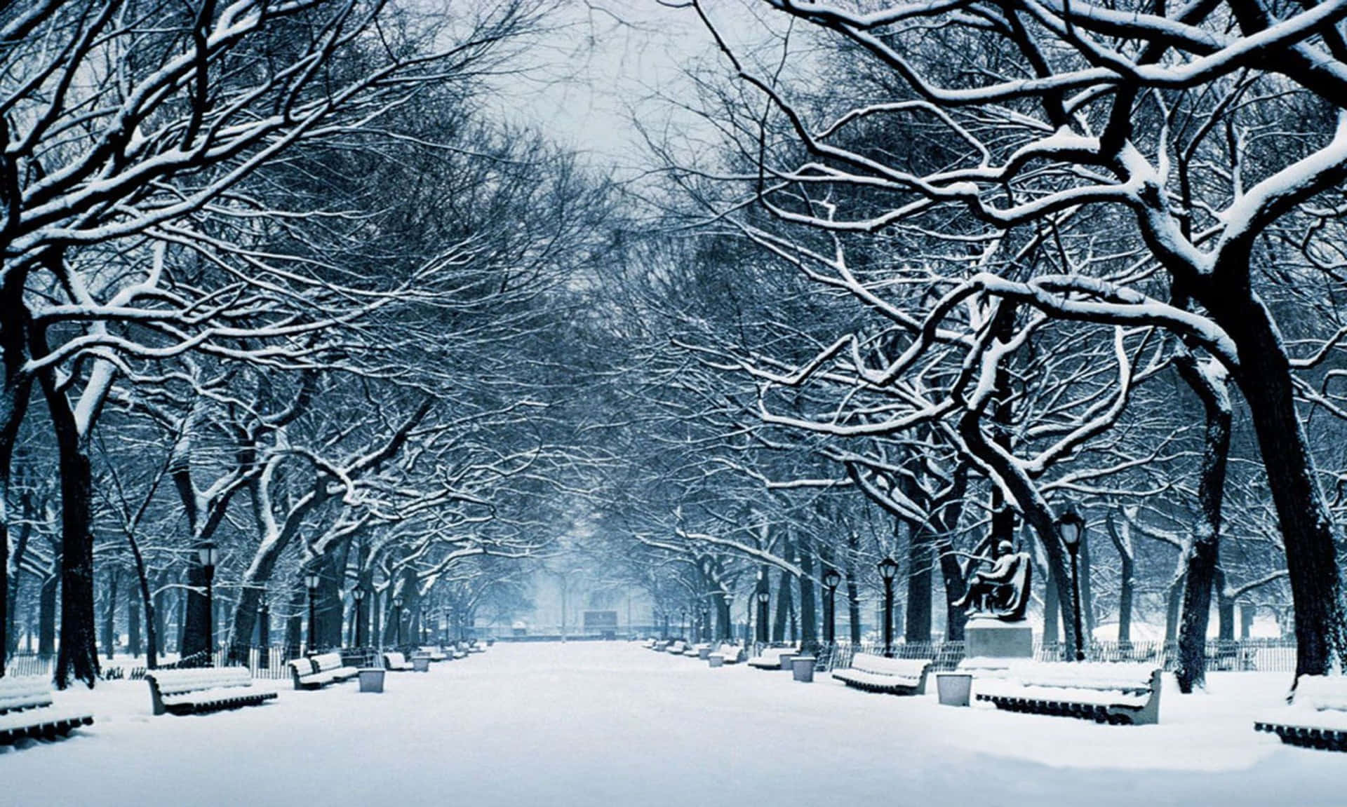 winter park pathway, snow-covered trees, benches, Full HD Desktop Wallpaper