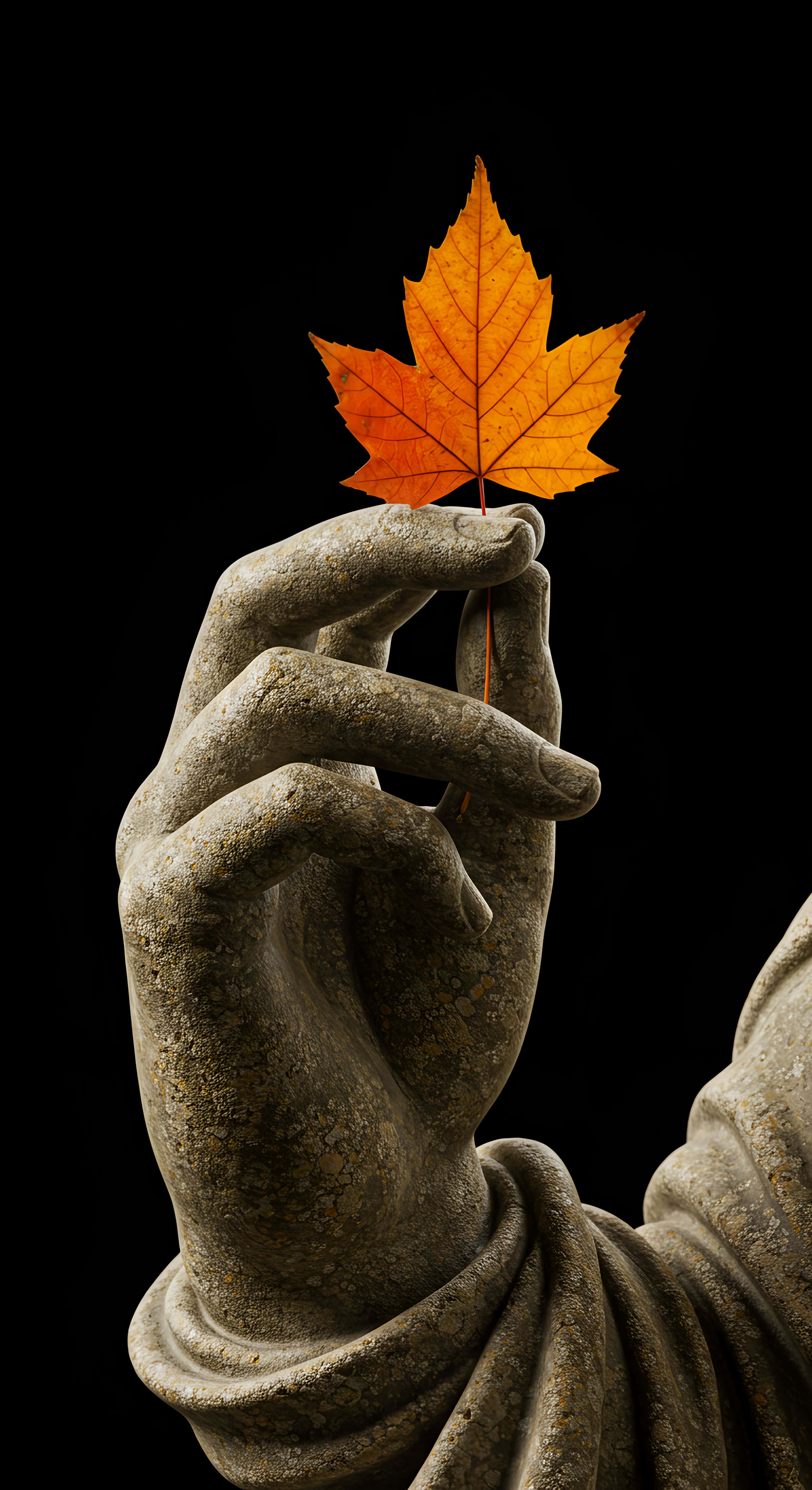 autumn leaf, stone hand, vibrant orange maple leaf, 5K Phone Wallpaper