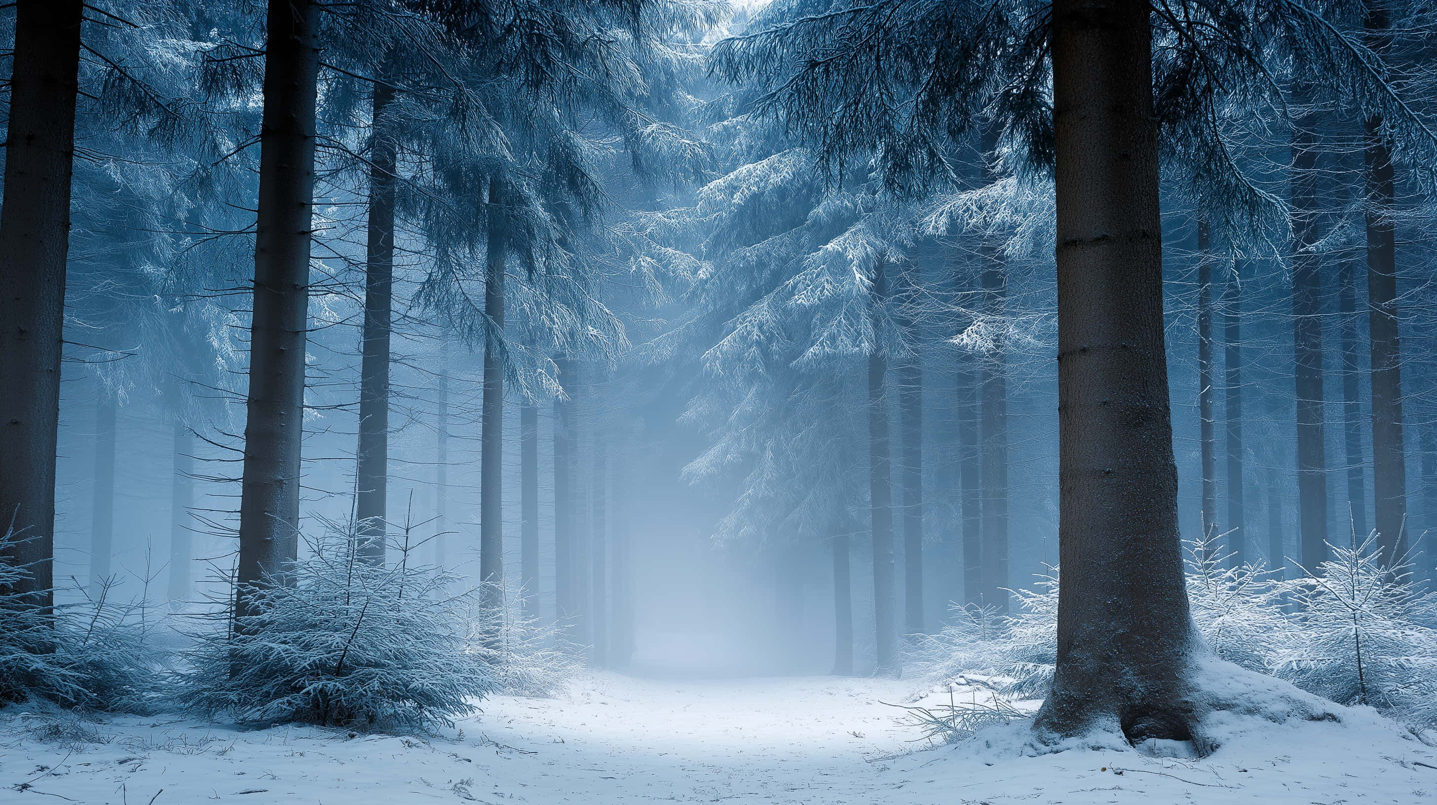misty winter forest, snow-covered pine trees, soft blue glow, 2K Desktop Wallpaper