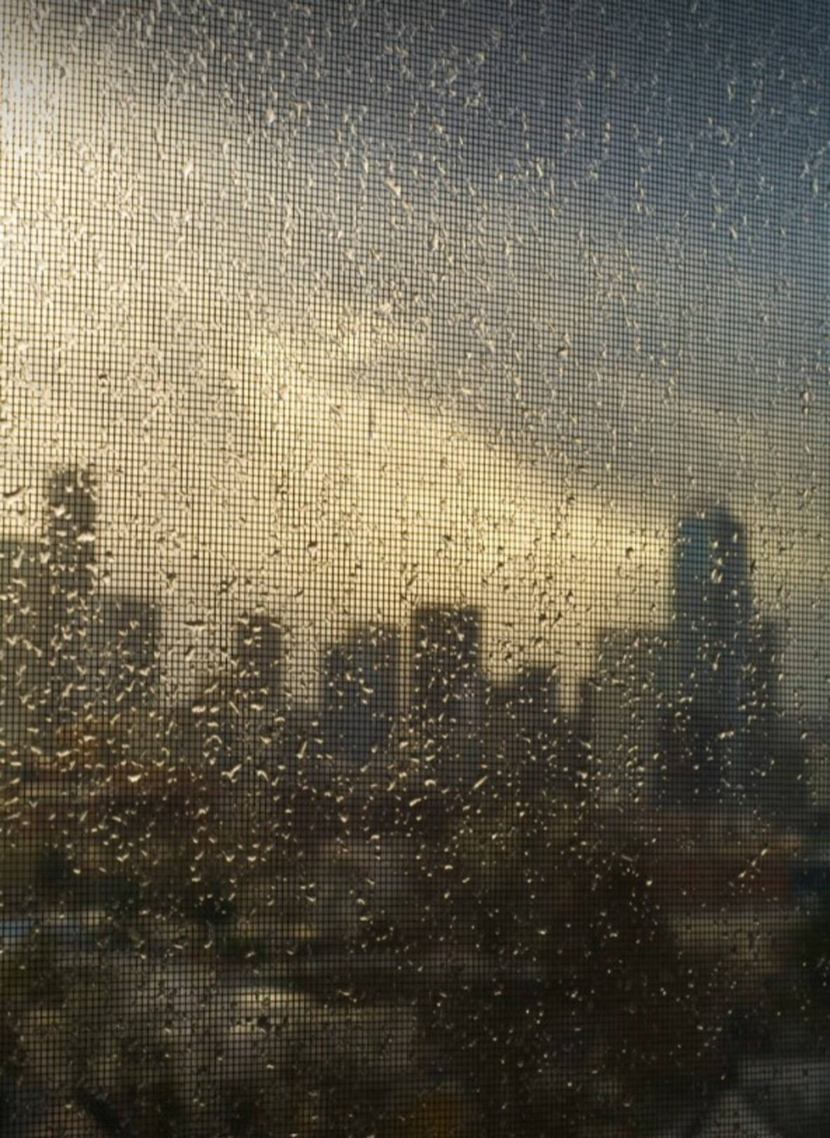 Seattle Rain, textured glass, raindrops, HD Phone Wallpaper