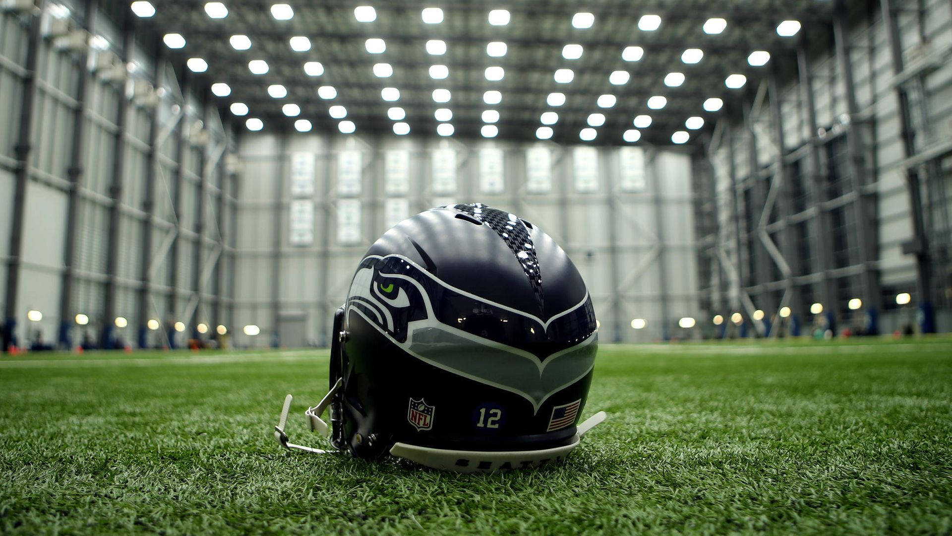 Seattle Seahawks, navy blue helmet, vibrant green turf, Full HD Desktop Wallpaper