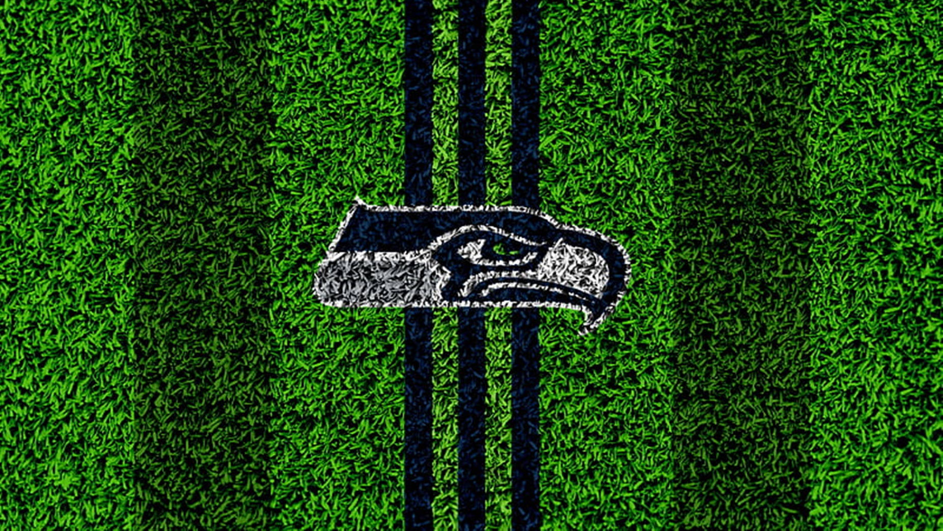 Seattle Seahawks, logo, green grass, HD Desktop Wallpaper
