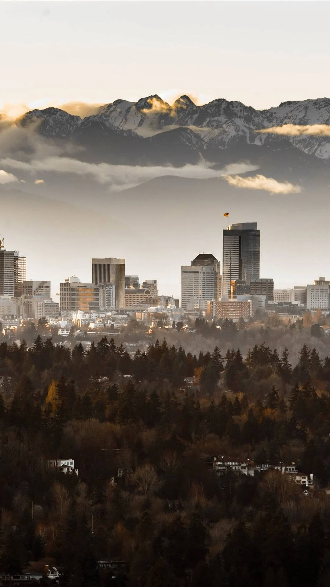 Seattle, mountain, city skyline, Full HD Phone Wallpaper