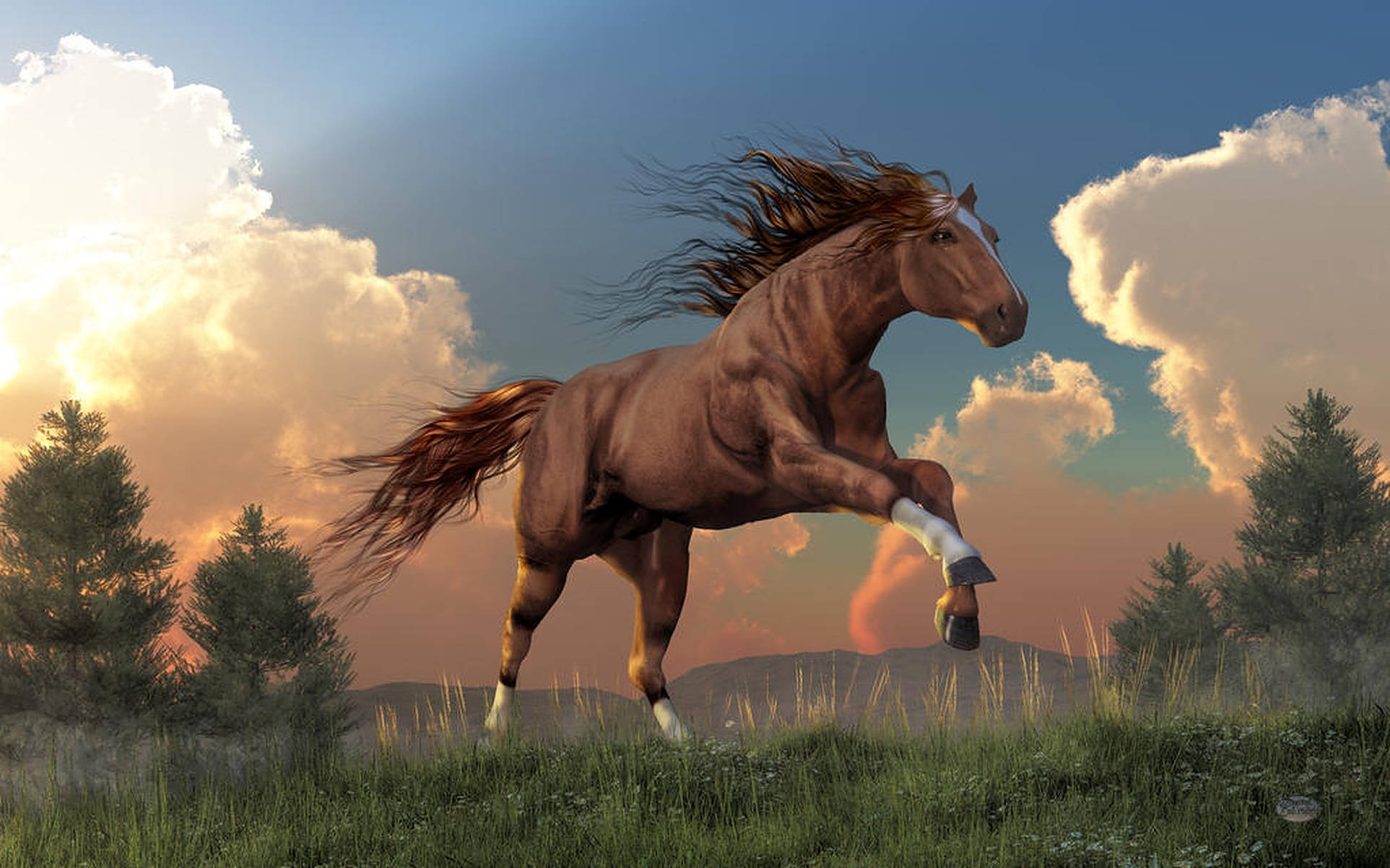 Secretariat, sunset, grassy field, Full HD Desktop Wallpaper