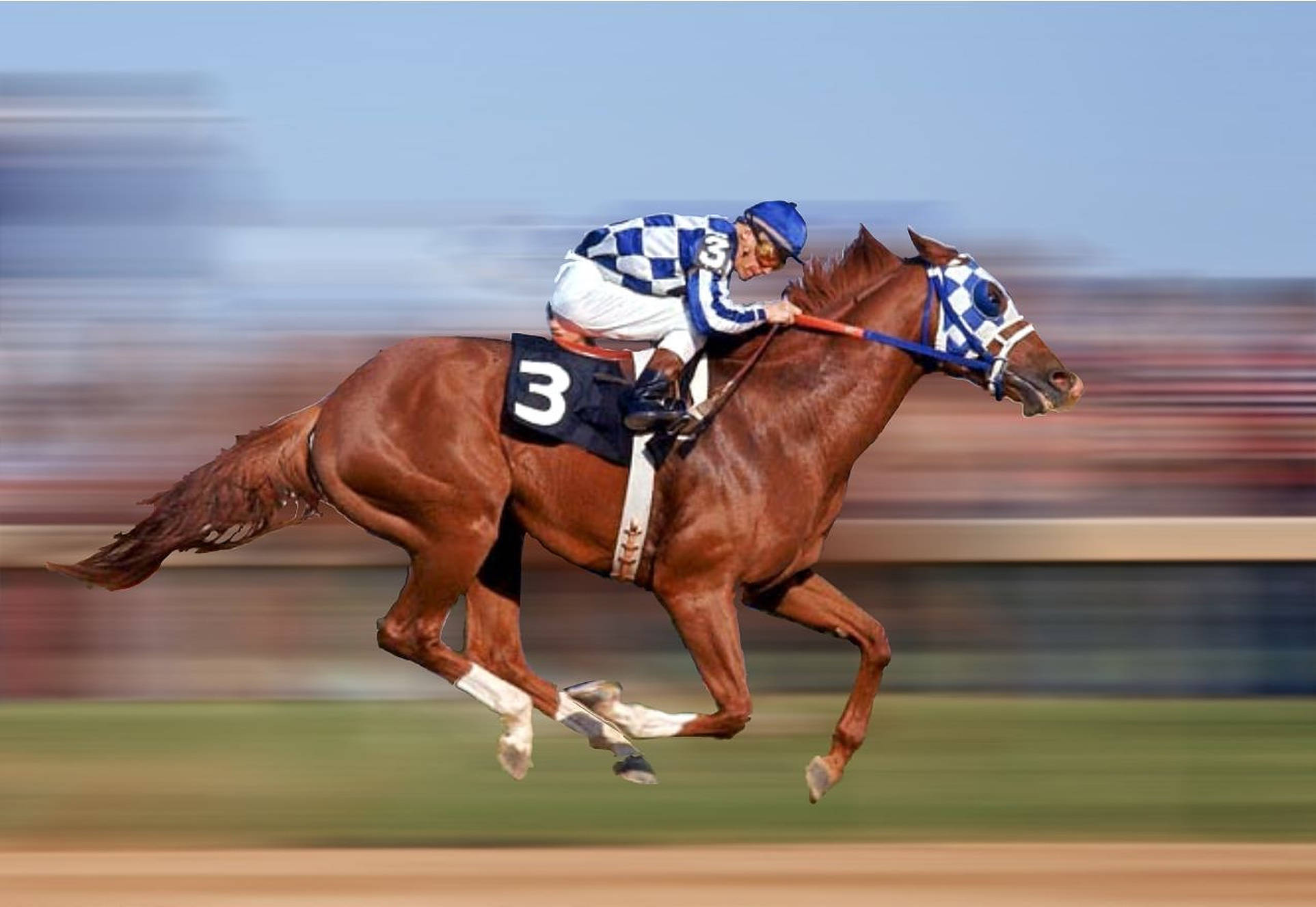 Secretariat, blue checkered silks, chestnut racehorse, Full HD Desktop Wallpaper