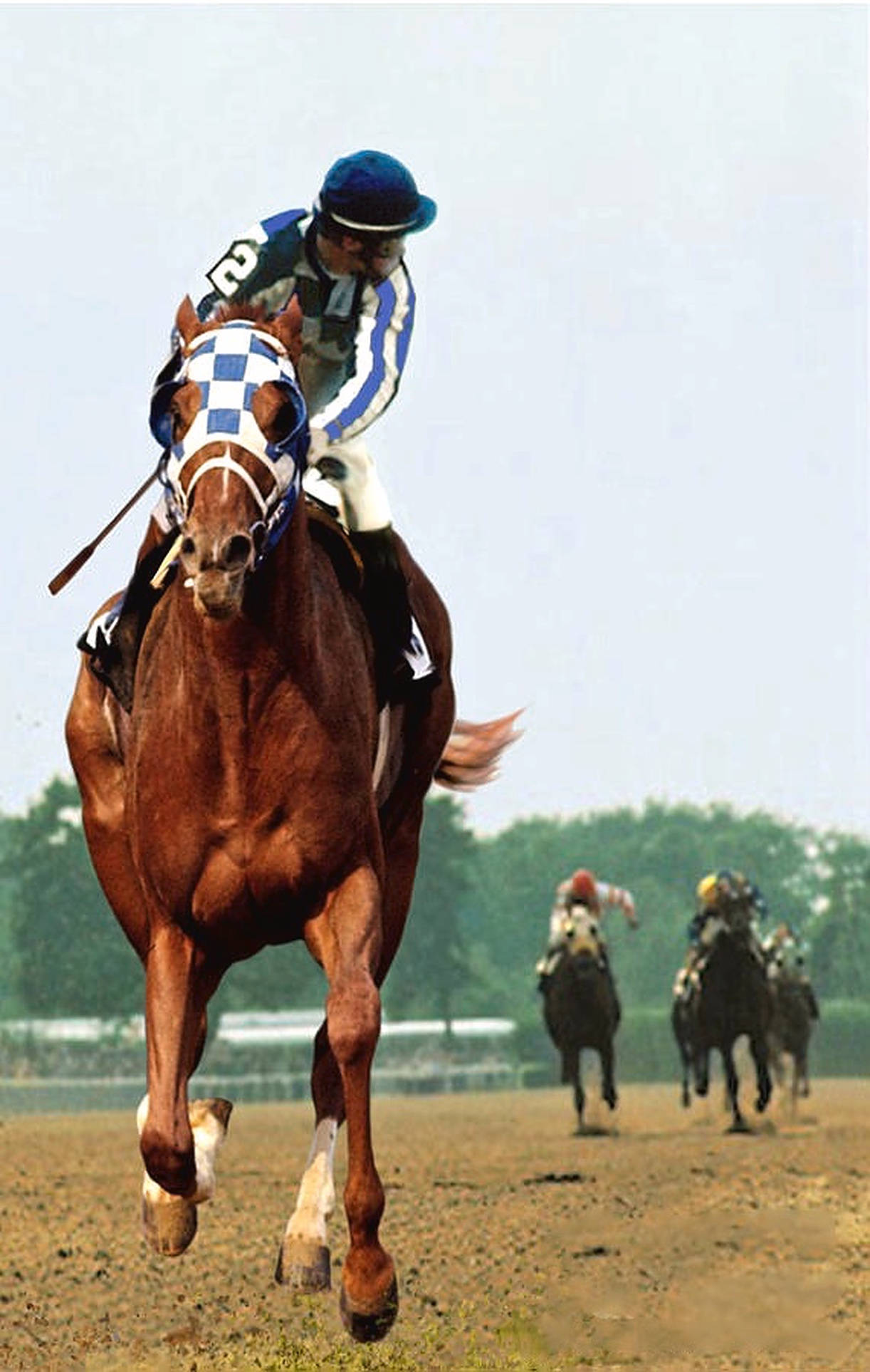 Secretariat, chestnut racehorse, dirt track, Full HD Phone Wallpaper