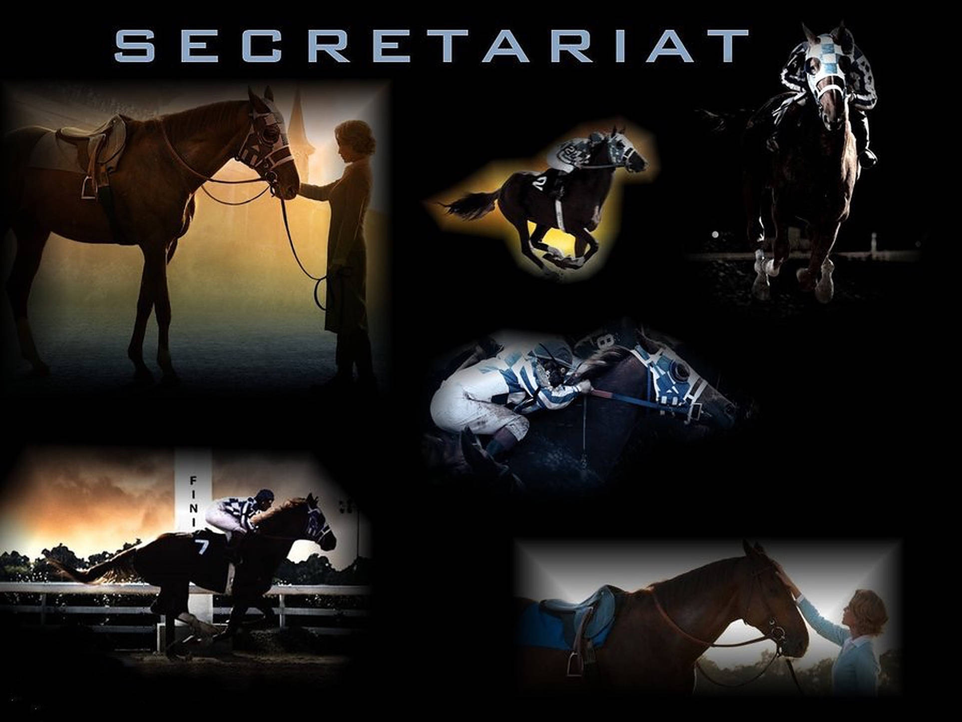 Secretariat, racehorse, golden lighting, Full HD Desktop Wallpaper