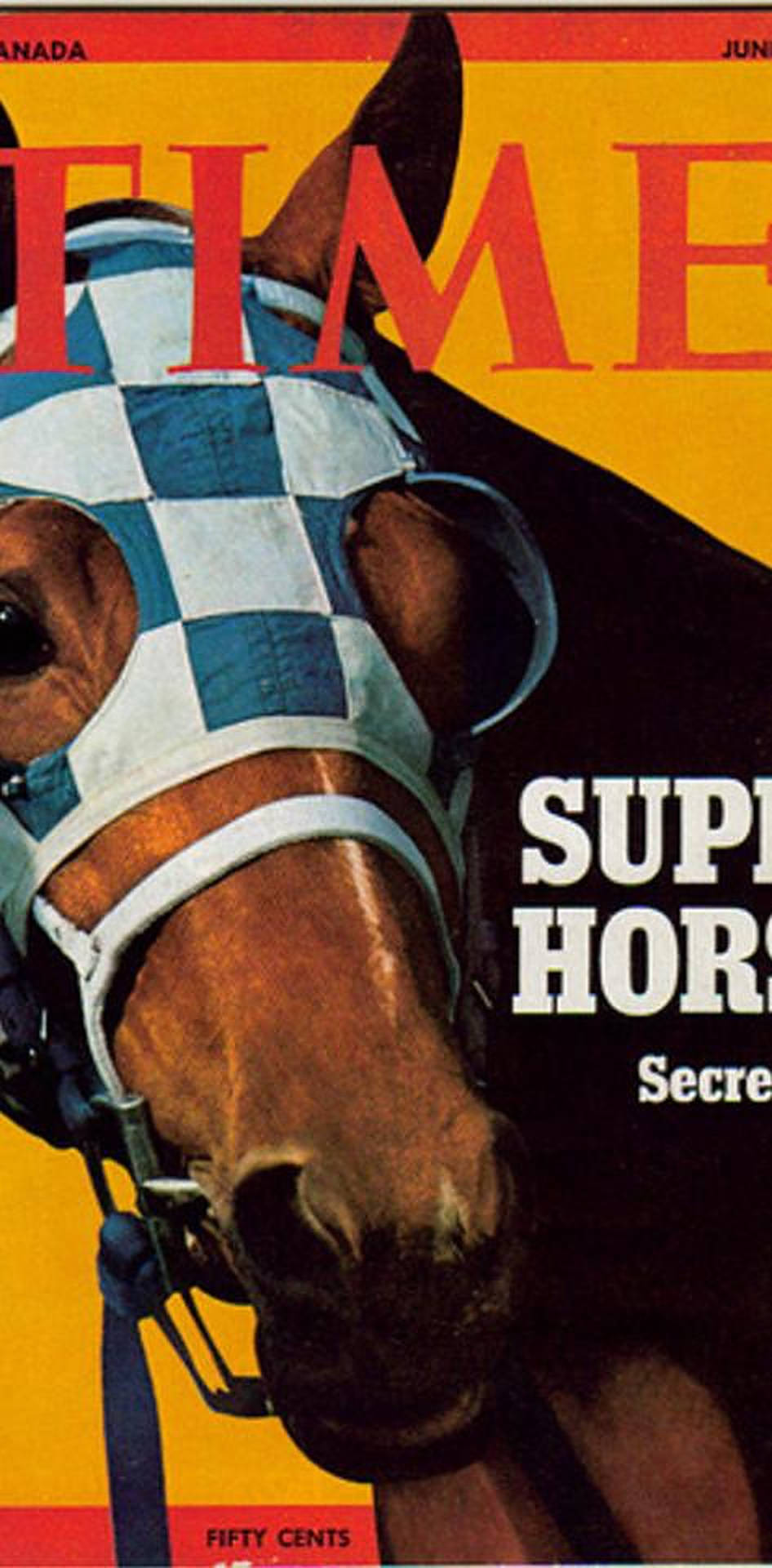 Secretariat, brown racehorse, blue and white checkered blinker mask, Full HD Phone Wallpaper