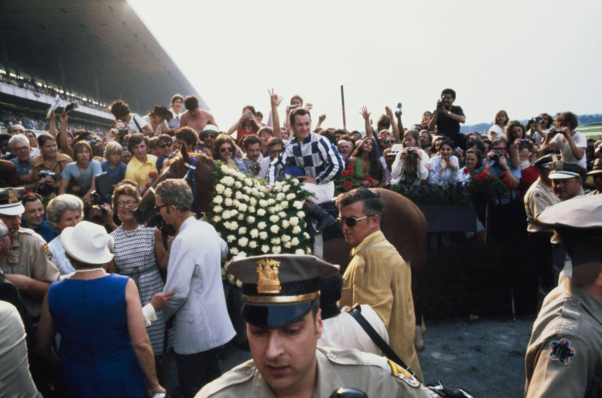 Secretariat, checkered silks, white roses, Full HD Desktop Wallpaper
