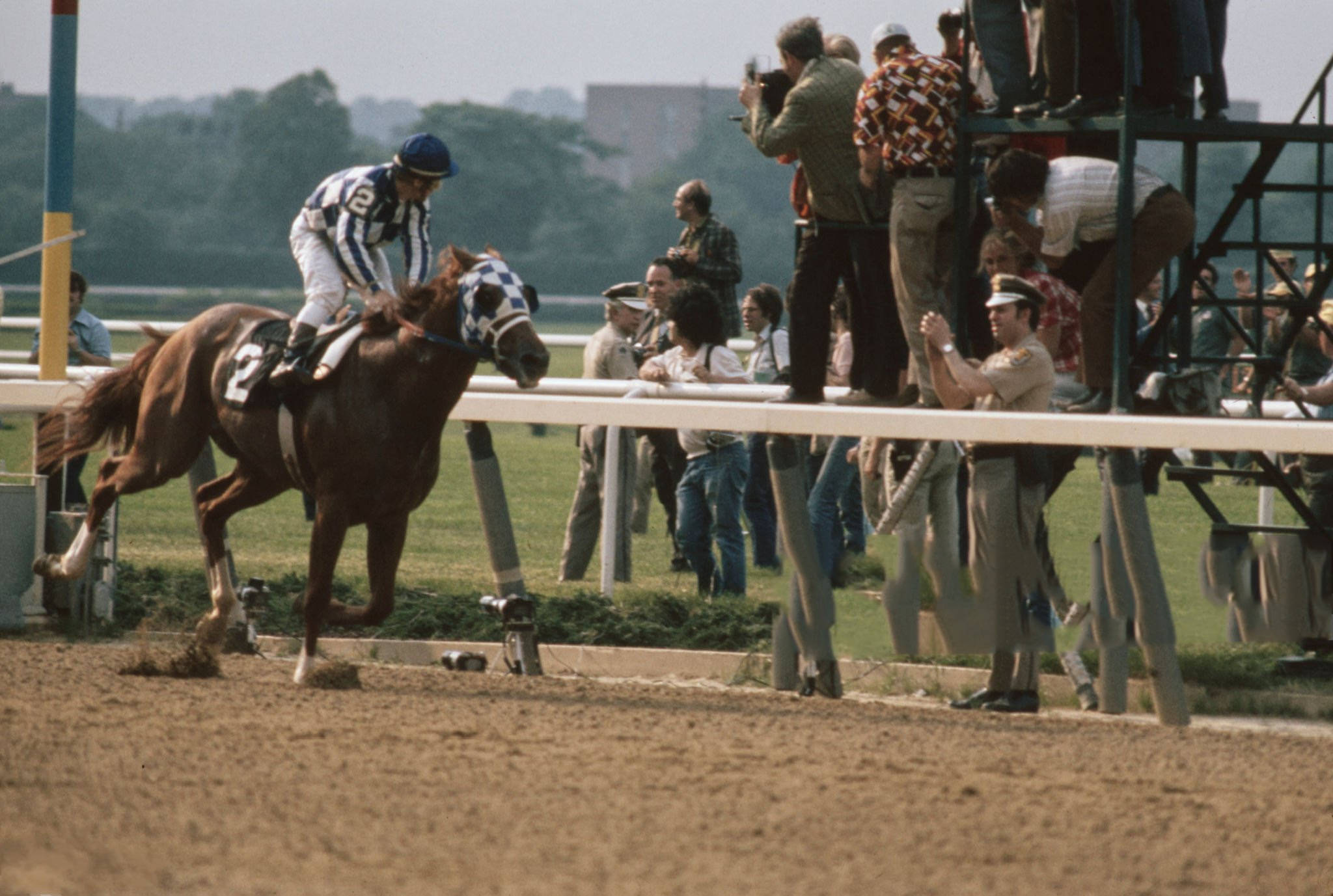 Secretariat, striped silks, brown racehorse, Full HD Desktop Wallpaper