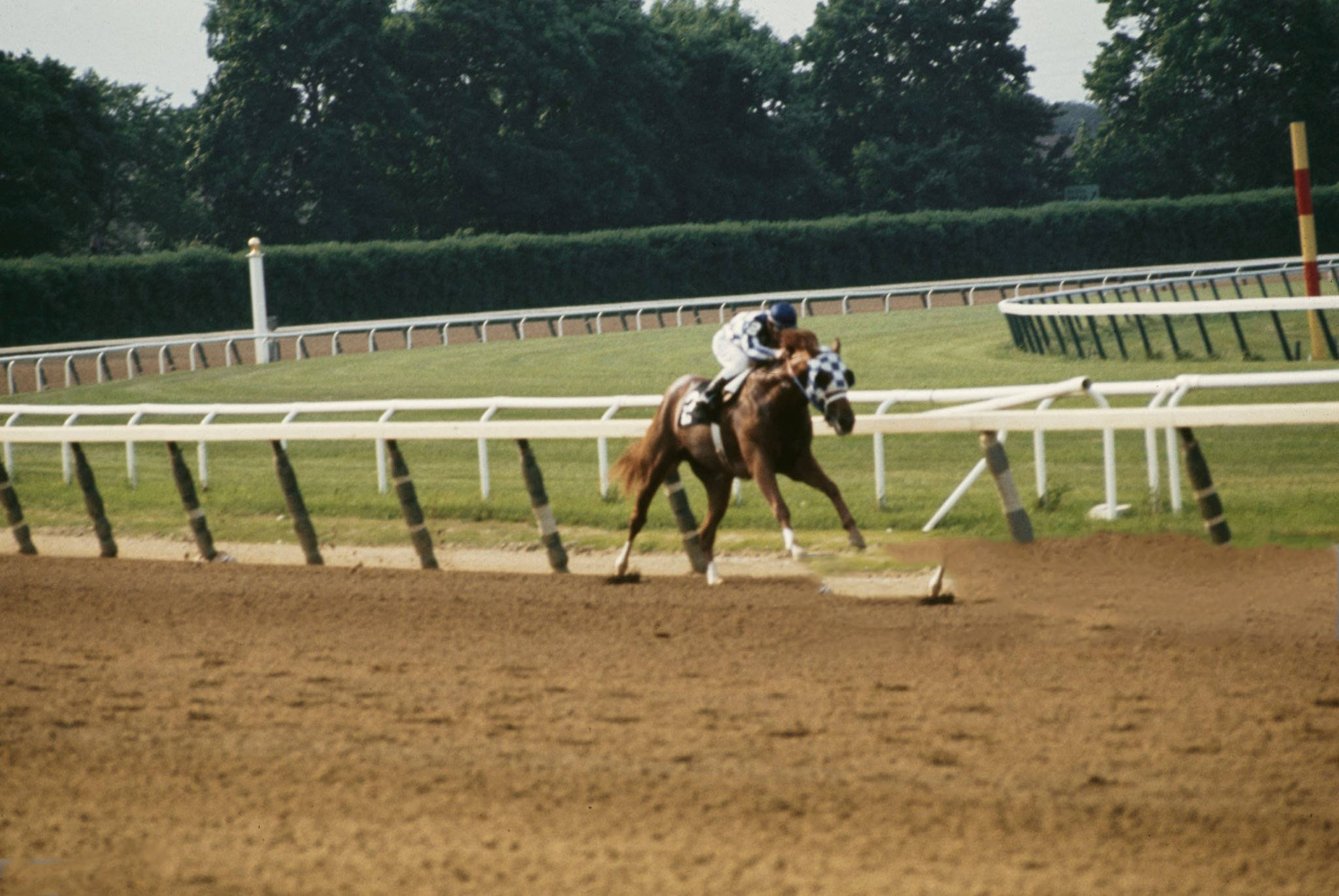 Secretariat, brown racehorse, dirt track, Full HD Desktop Wallpaper