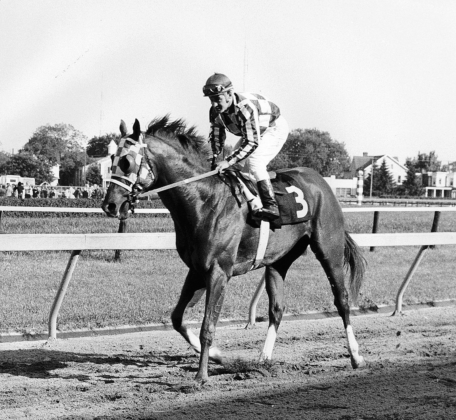 Secretariat, black and white number three, checkered silks, Full HD Desktop Wallpaper