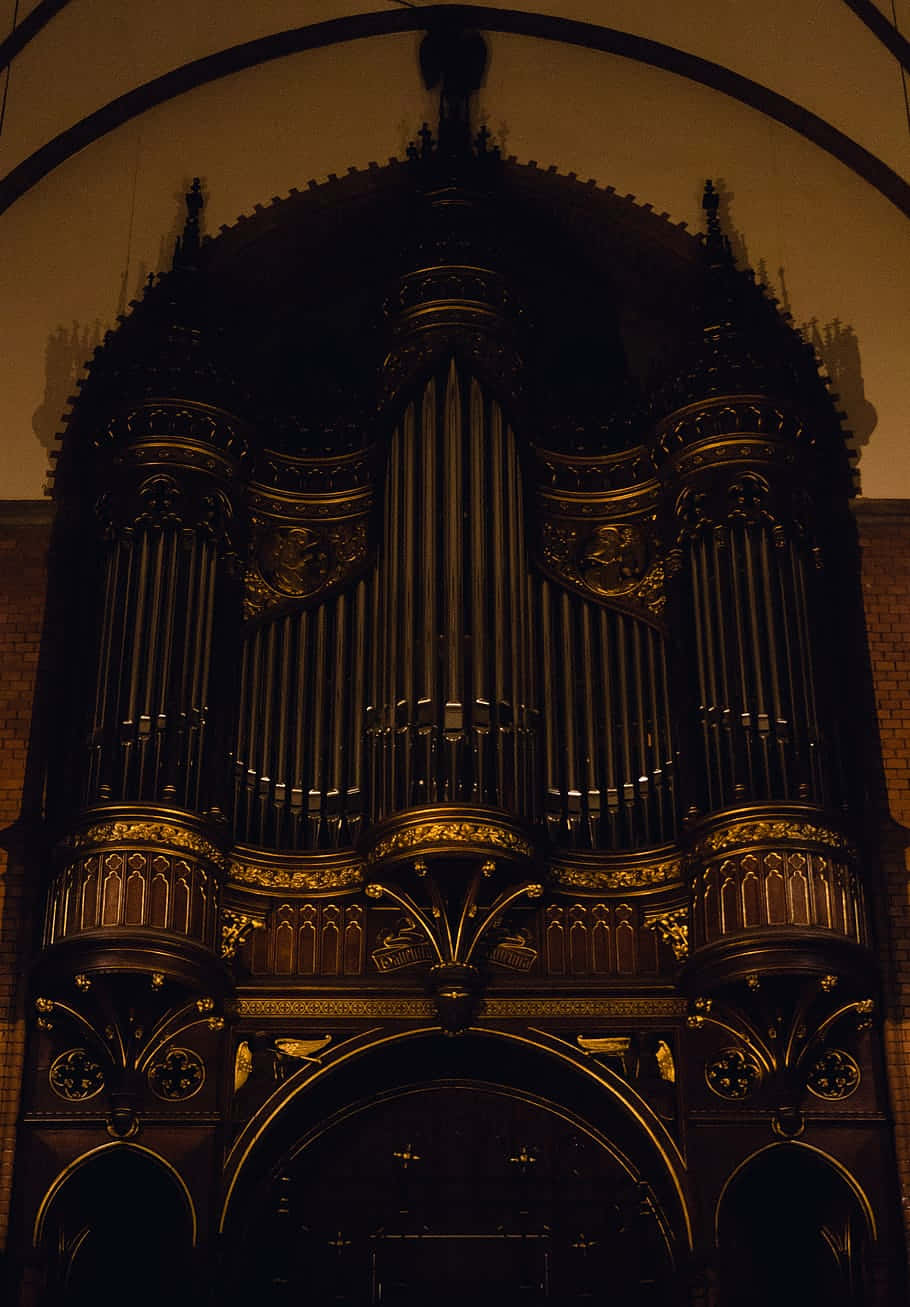 Secular, Neo-Gothic, pipe organ, HD Phone Wallpaper