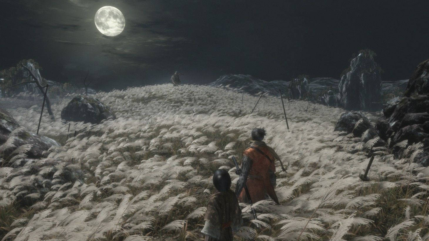 Sekiro Shadows Die Twice, moonlit field, tall white grass, HD Desktop Wallpaper