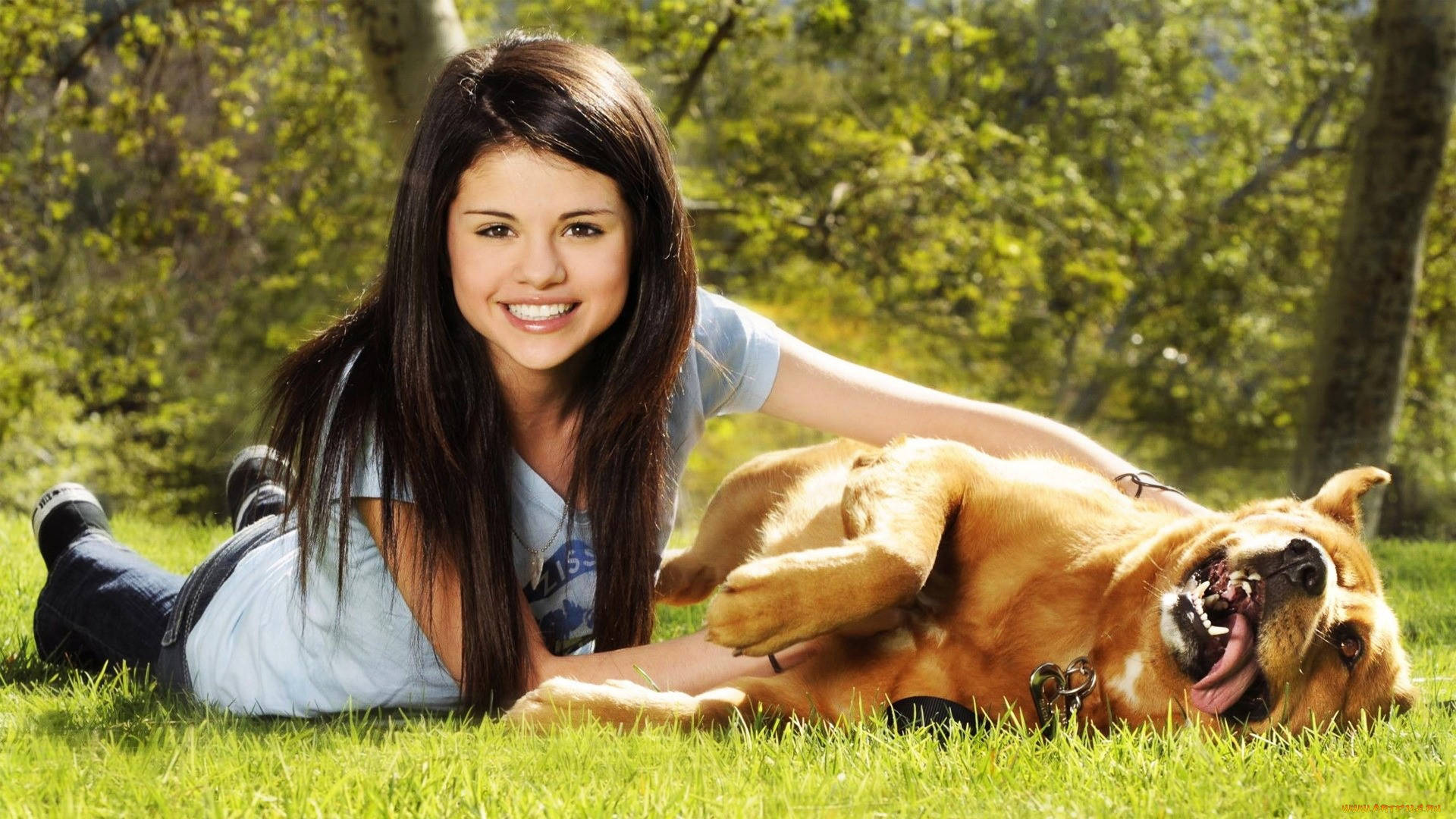 Selena Gomez, golden dog, sunlit park, Full HD Desktop Wallpaper