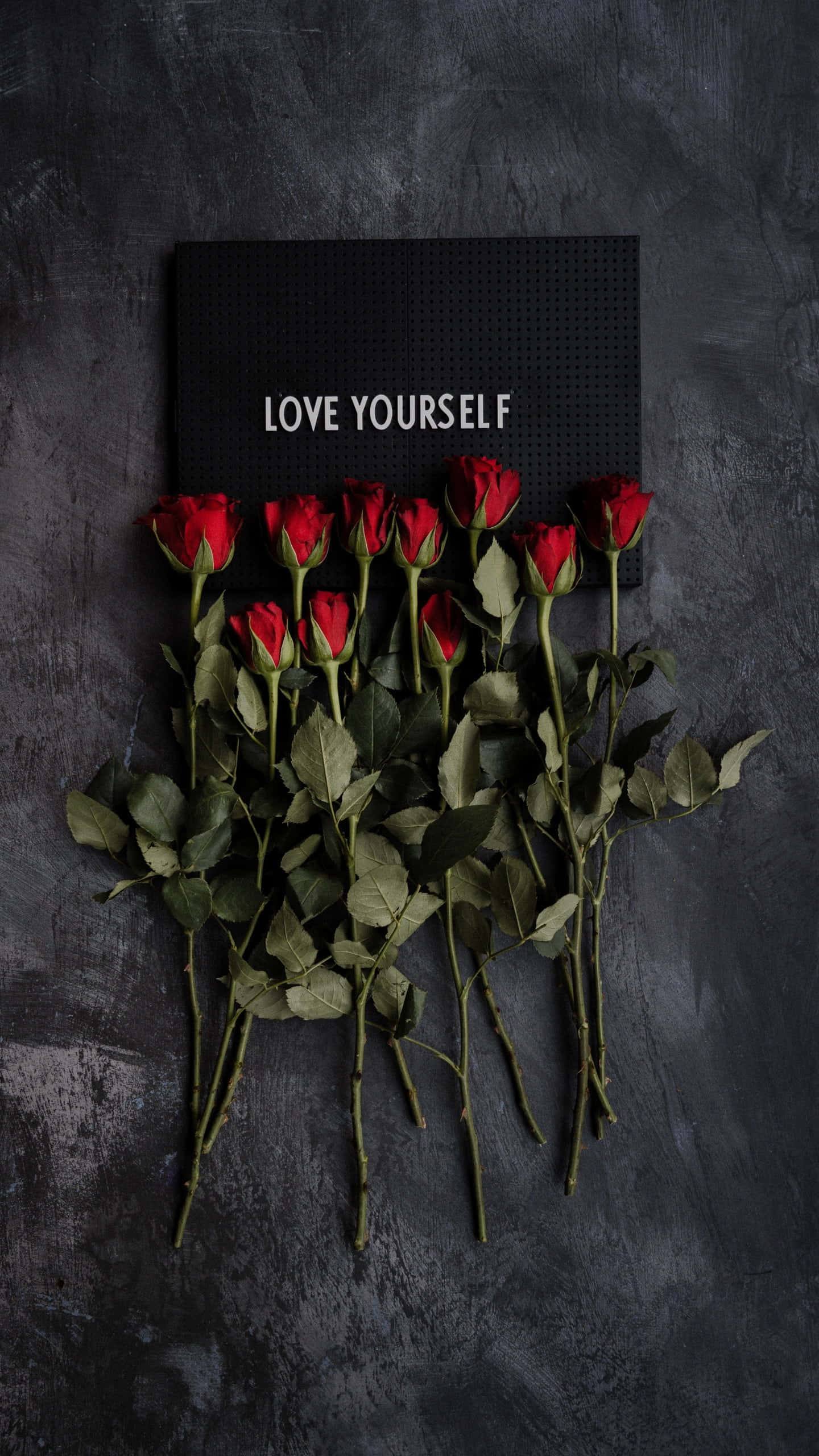 LOVE YOURSELF, vibrant red roses, green stems and leaves, 2K Phone Wallpaper