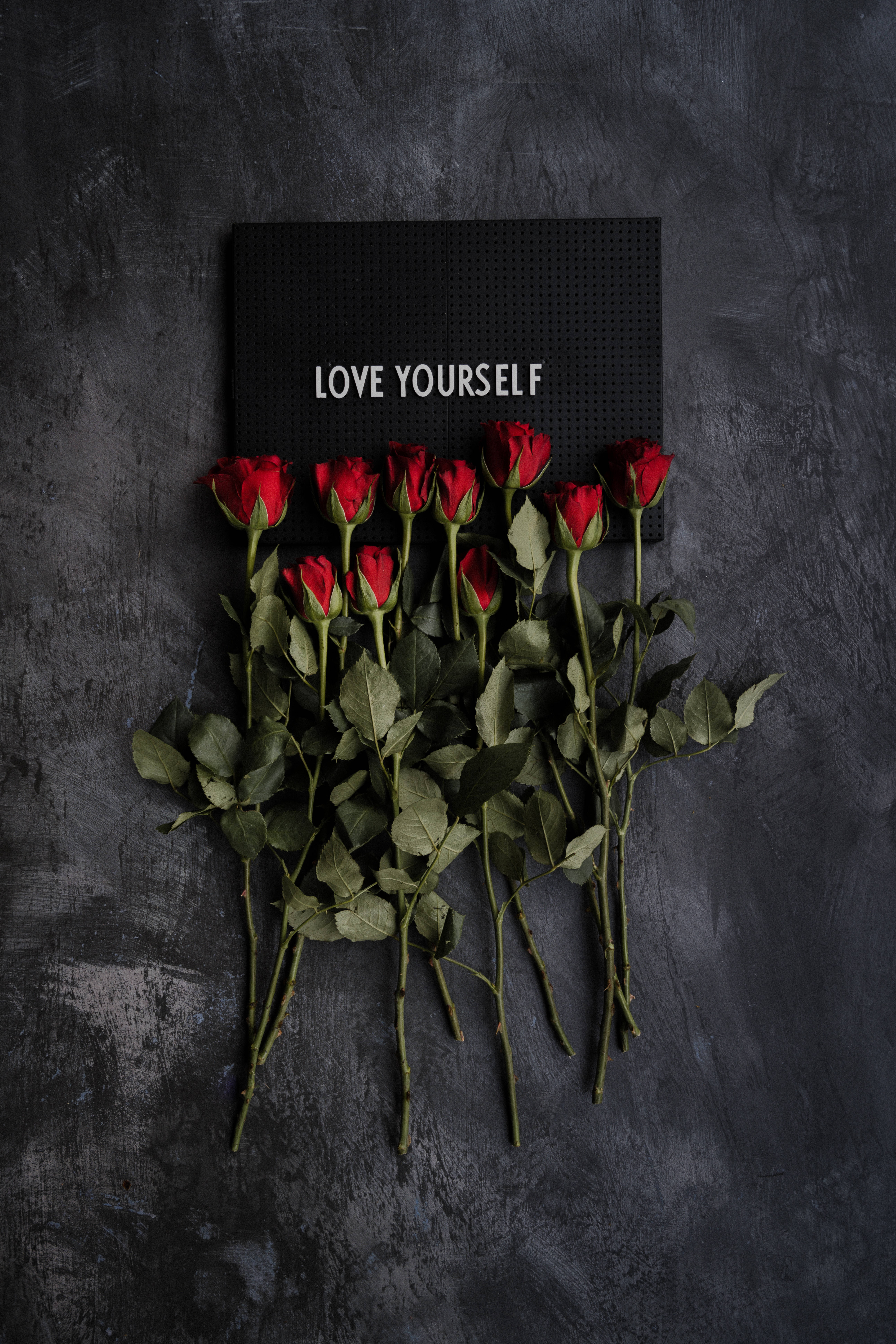 love yourself, black sign, vibrant red roses, 8K Phone Wallpaper