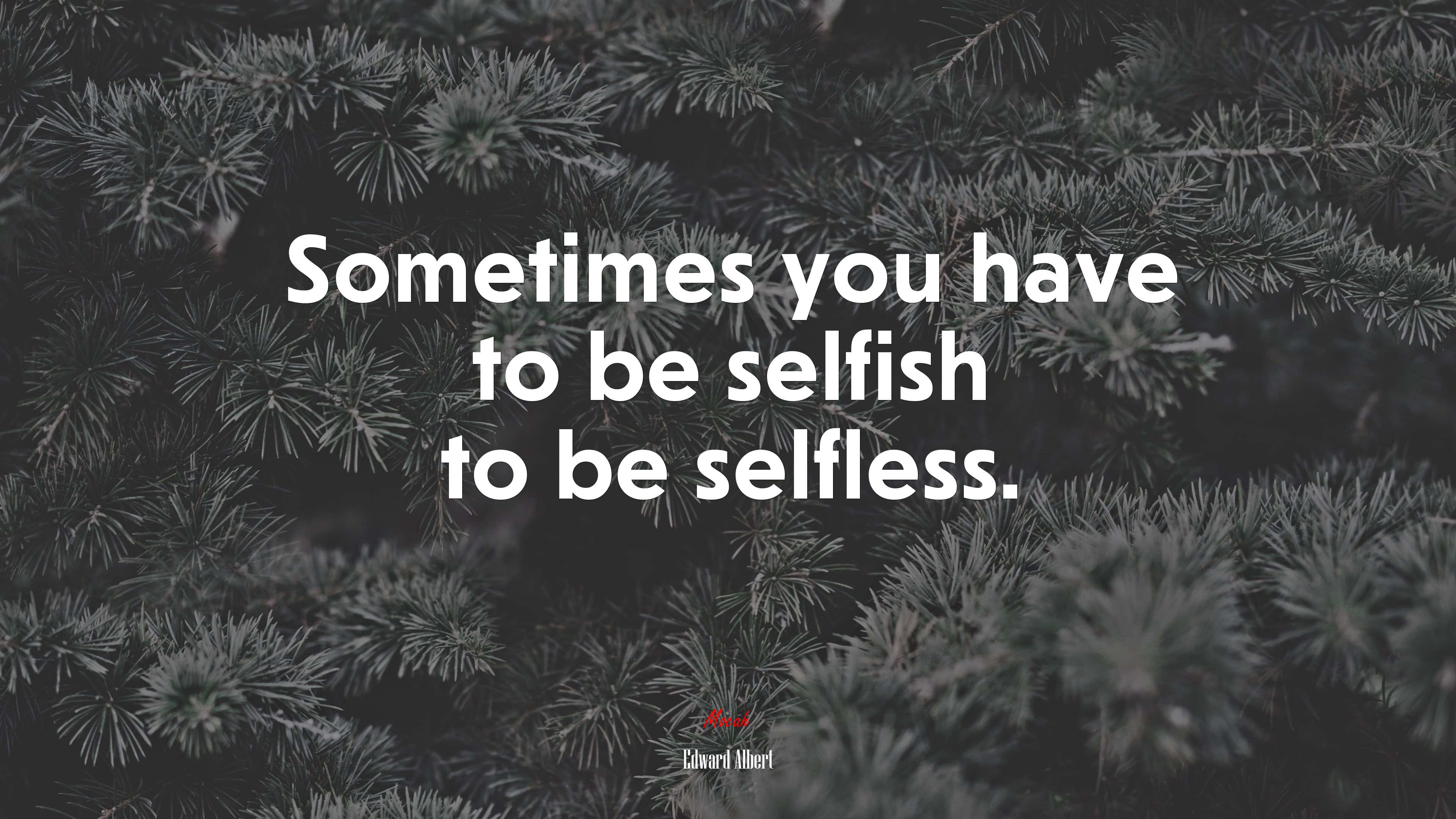 Selfless, white text, dark pine needle background, 4K Desktop Wallpaper