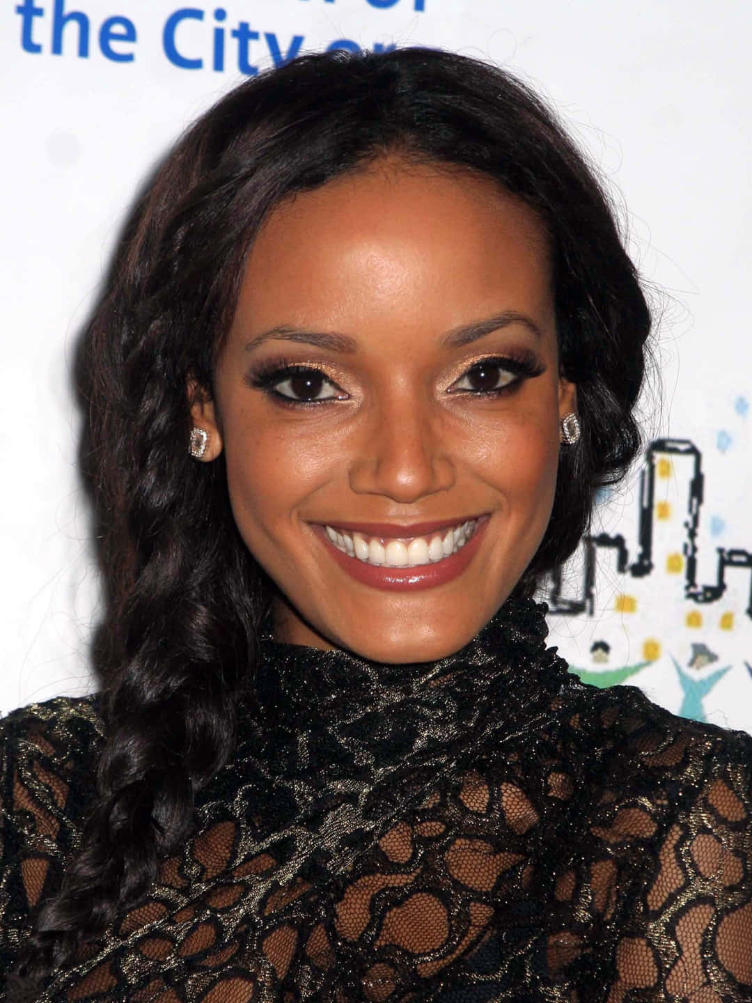 Selita Ebanks, black lace top, dark braided hair, HD Phone Wallpaper