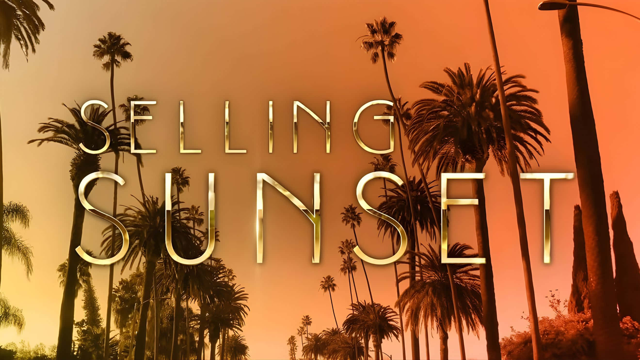 Selling Sunset, golden sunset, palm trees, 2K Desktop Wallpaper