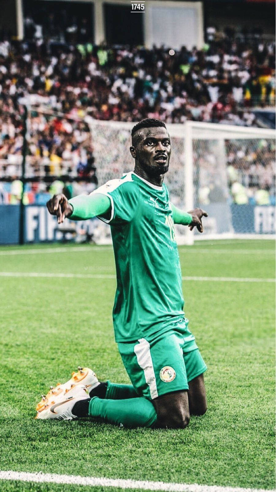 Senegal, green kit, grass, HD Phone Wallpaper