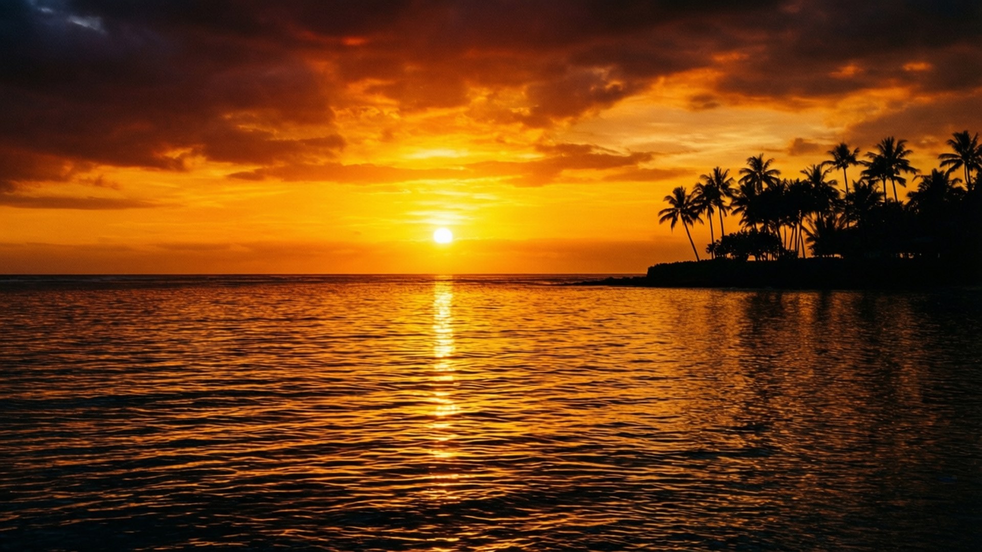 Golden Ocean Sunset, ocean, palm trees, Full HD Desktop Wallpaper