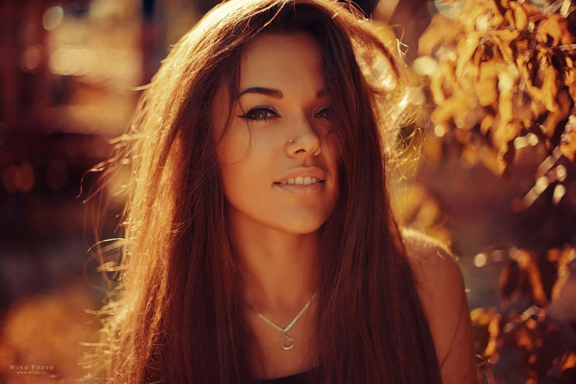 Sensual Glow, golden sunlight, autumn leaves, Full HD Desktop Wallpaper