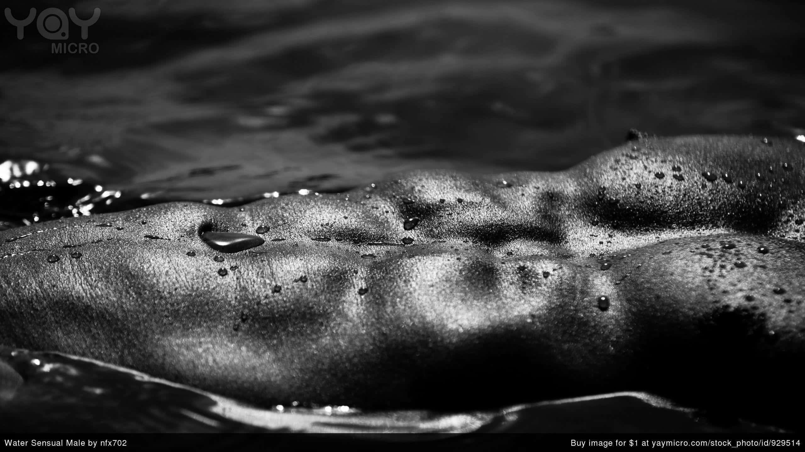 black and white, muscular male torso, water, 2K Desktop Wallpaper