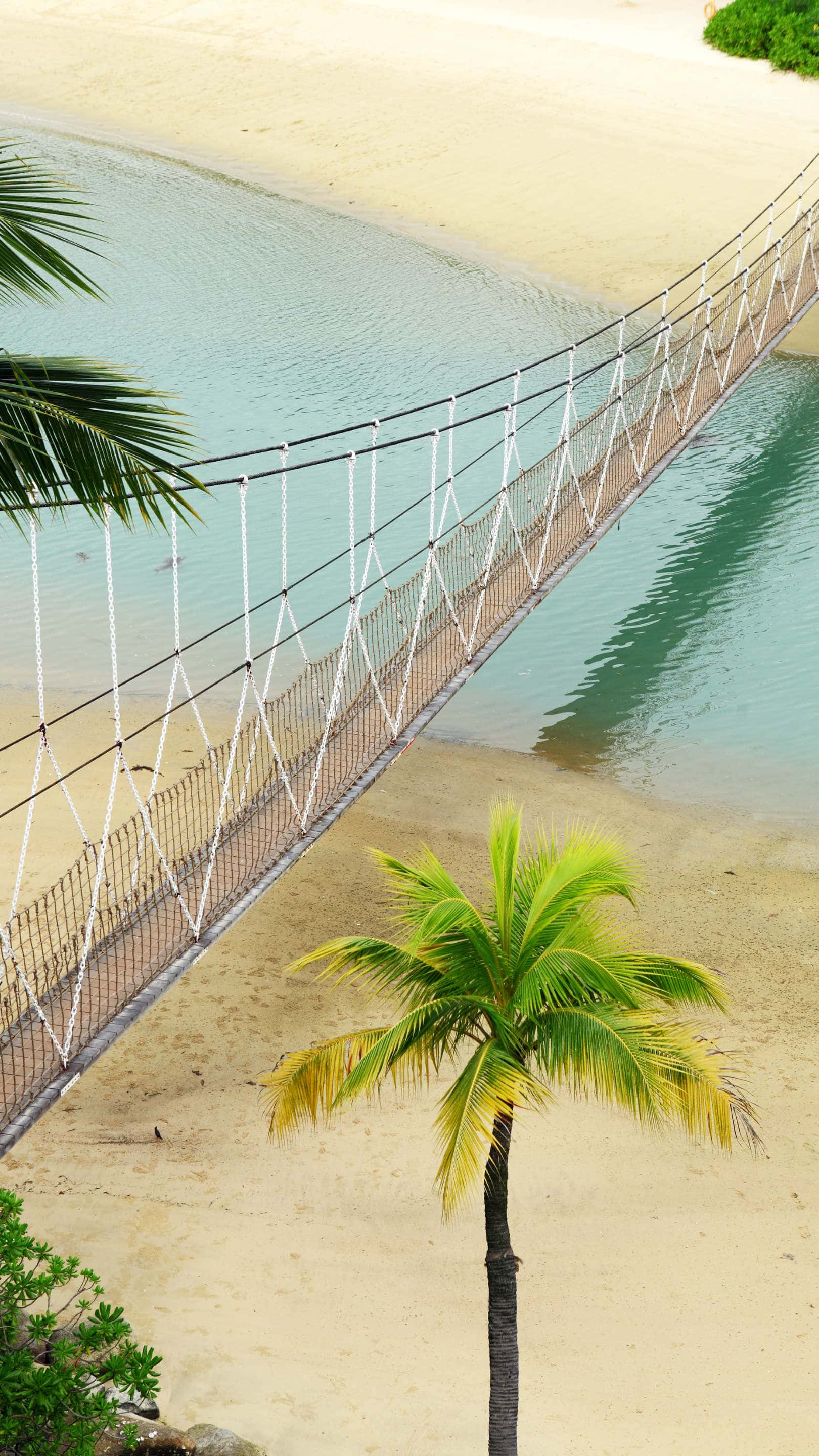 Sentosa Island, suspension bridge, turquoise water, 2K Phone Wallpaper