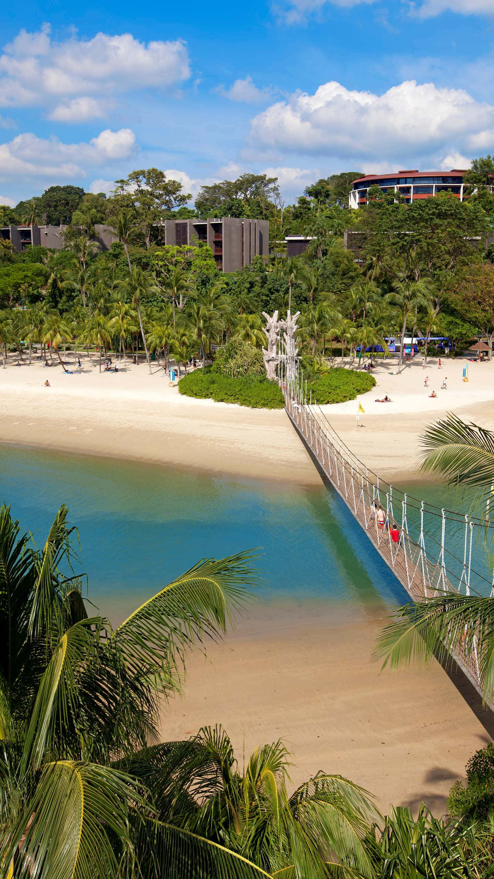 Sentosa Island, beach, suspension bridge, 2K Phone Wallpaper