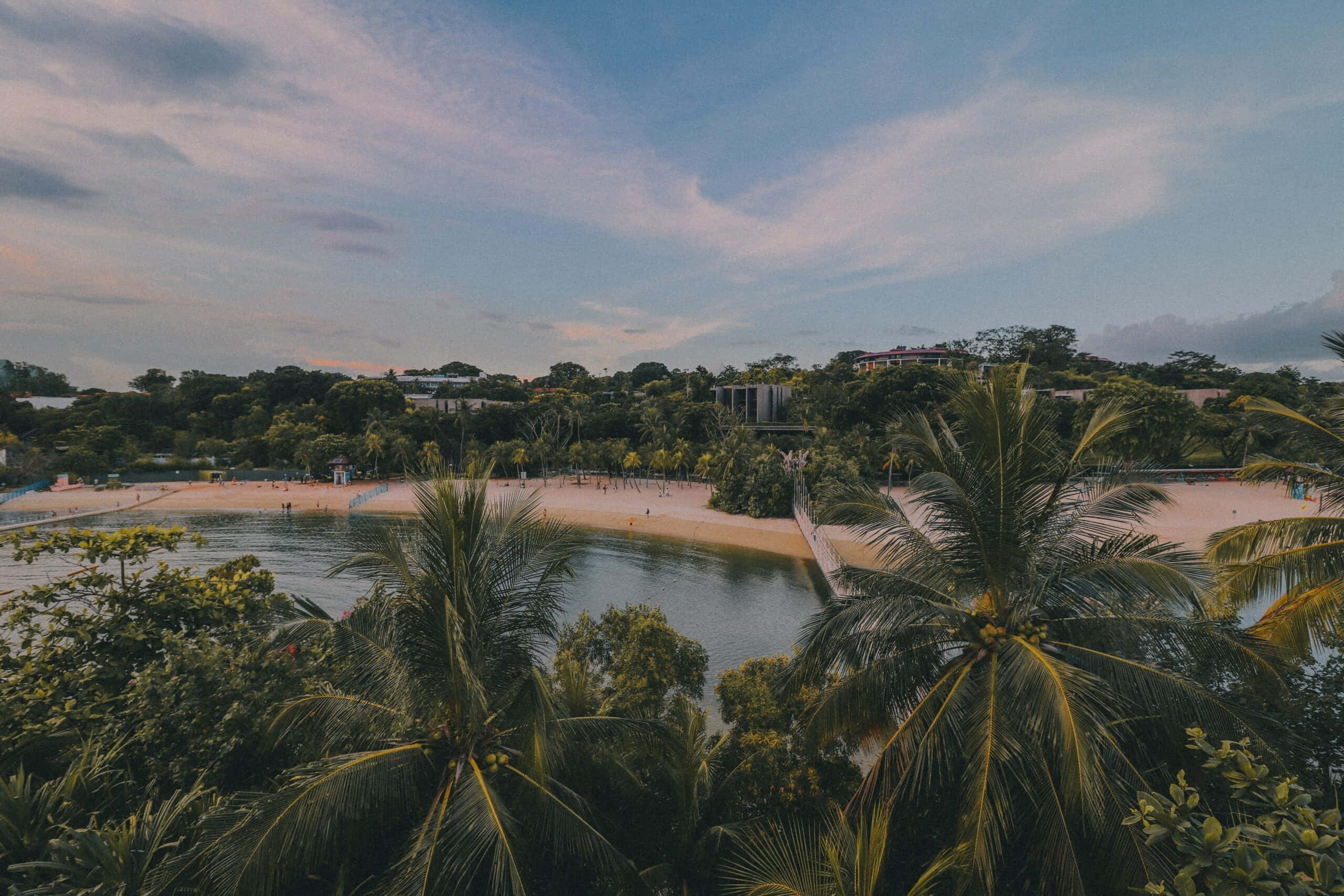 Sentosa Island, tropical beach, lush palm trees, 2K Desktop Wallpaper