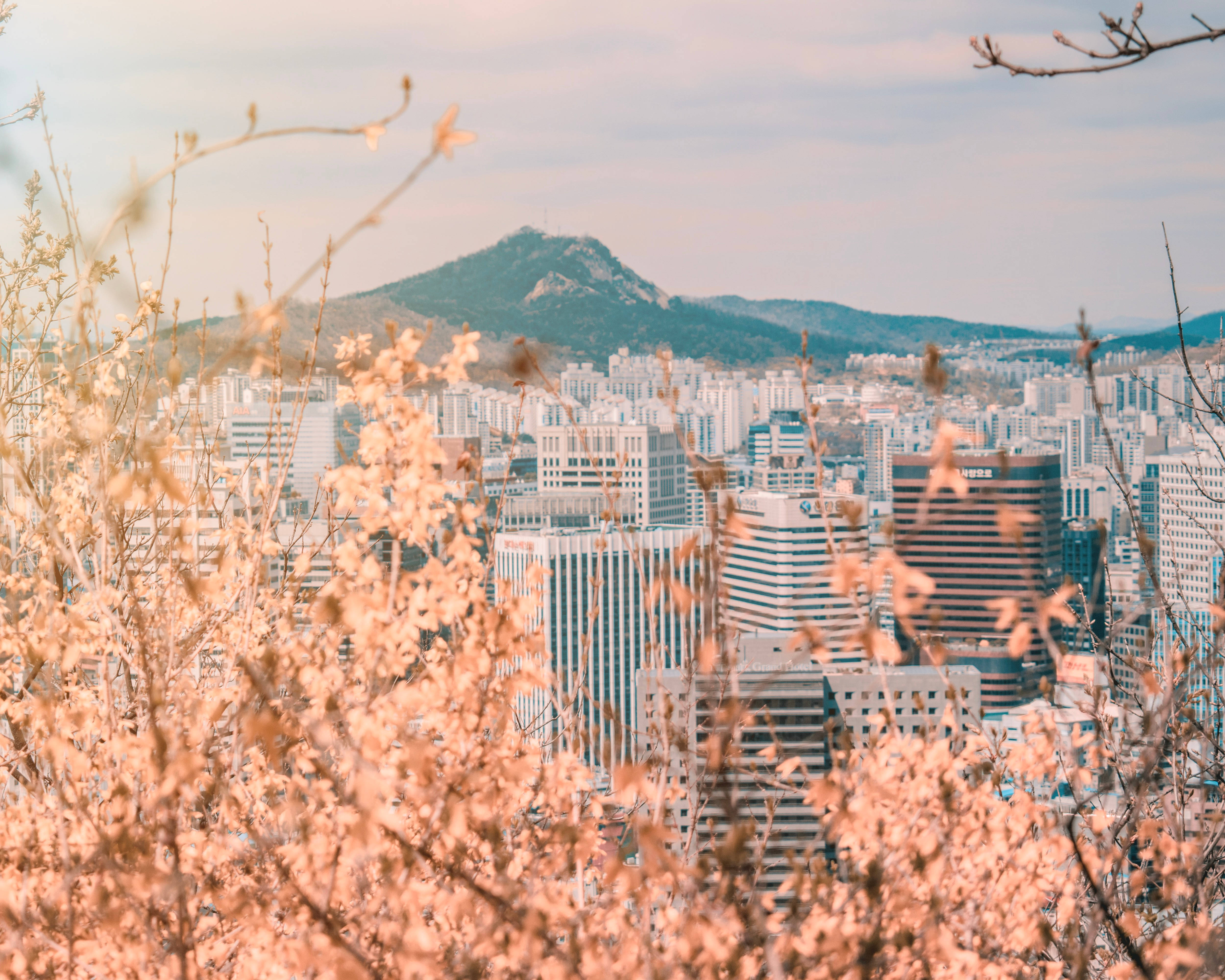 Seoul, skyscrapers, mountains, 4K Desktop Wallpaper