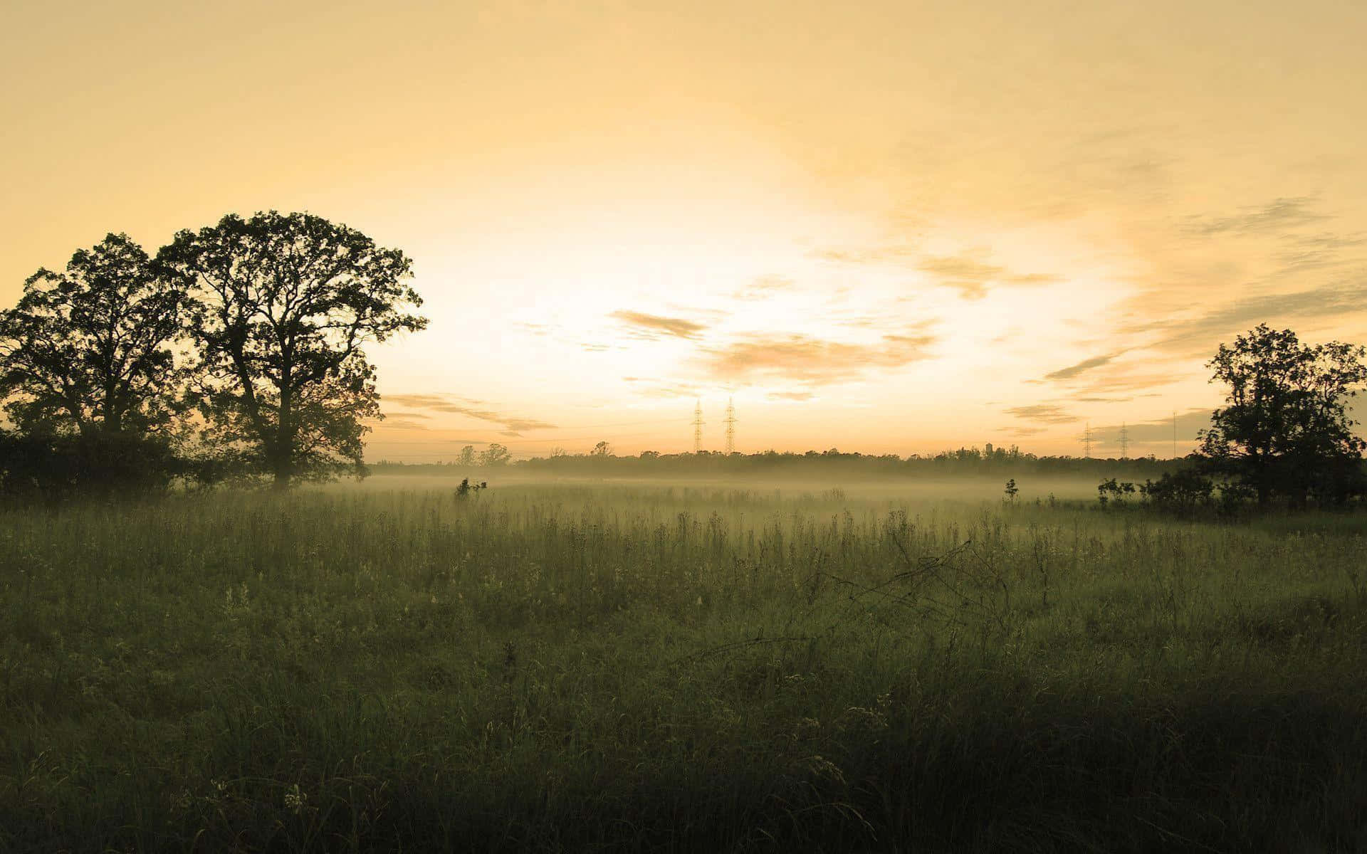 sepia, 1920 x 1200, golden sunrise, Full HD Desktop Wallpaper