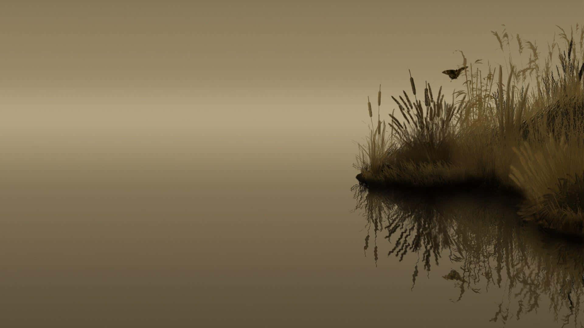 sepia, lake, dawn, Full HD Desktop Wallpaper