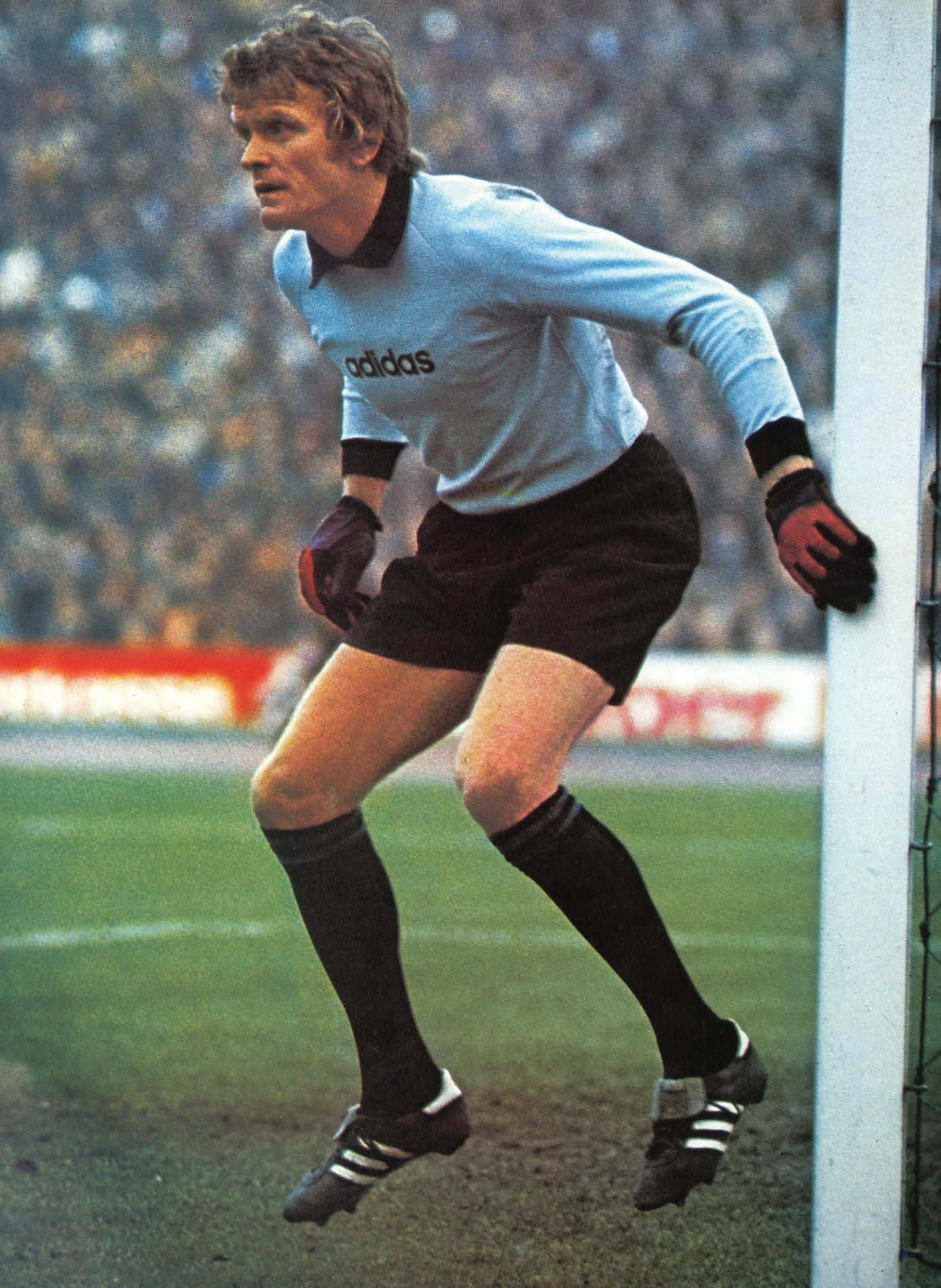 Sepp Maier, 1974 World Cup, light blue jersey, HD Phone Wallpaper